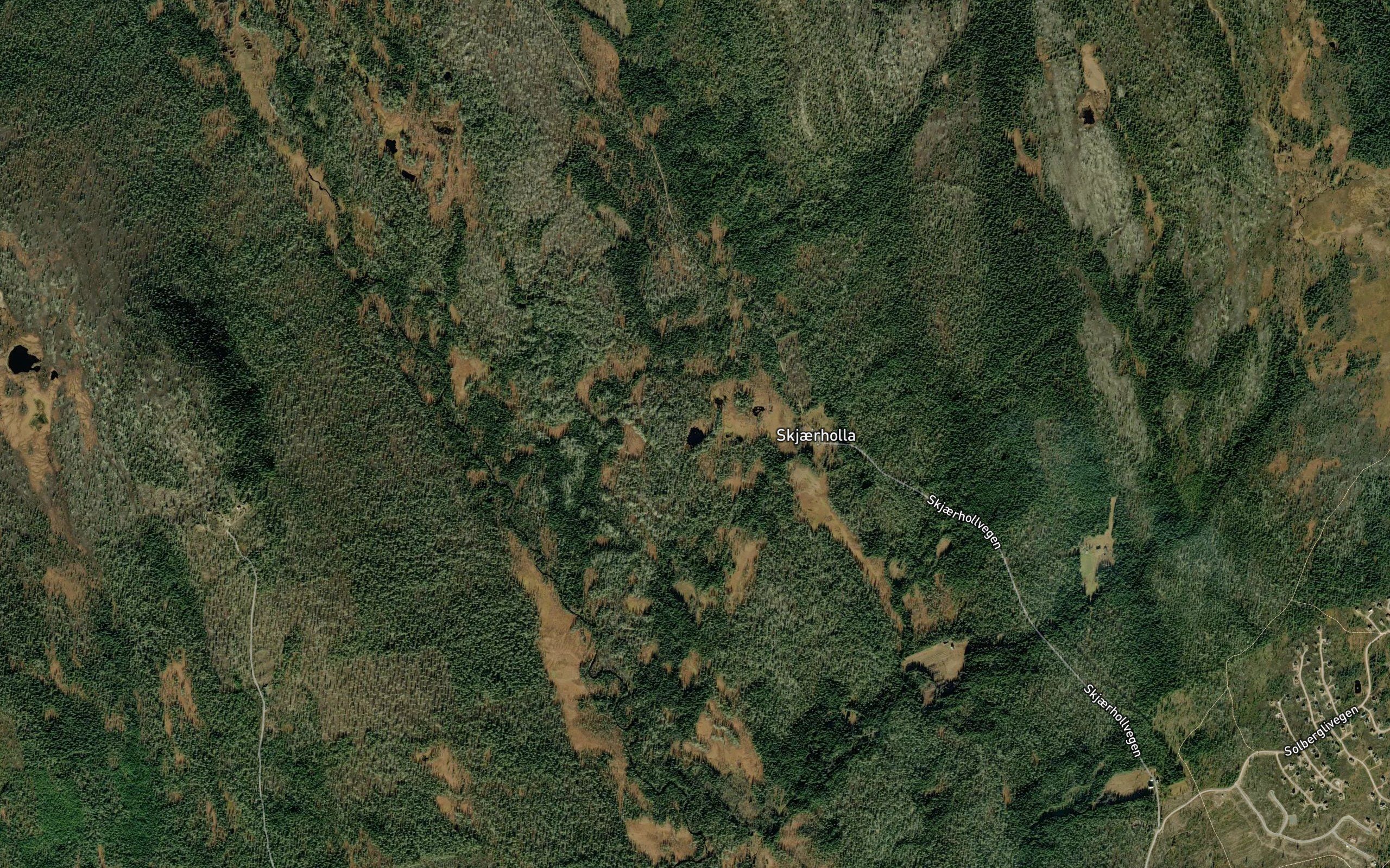Kviteggtjonna