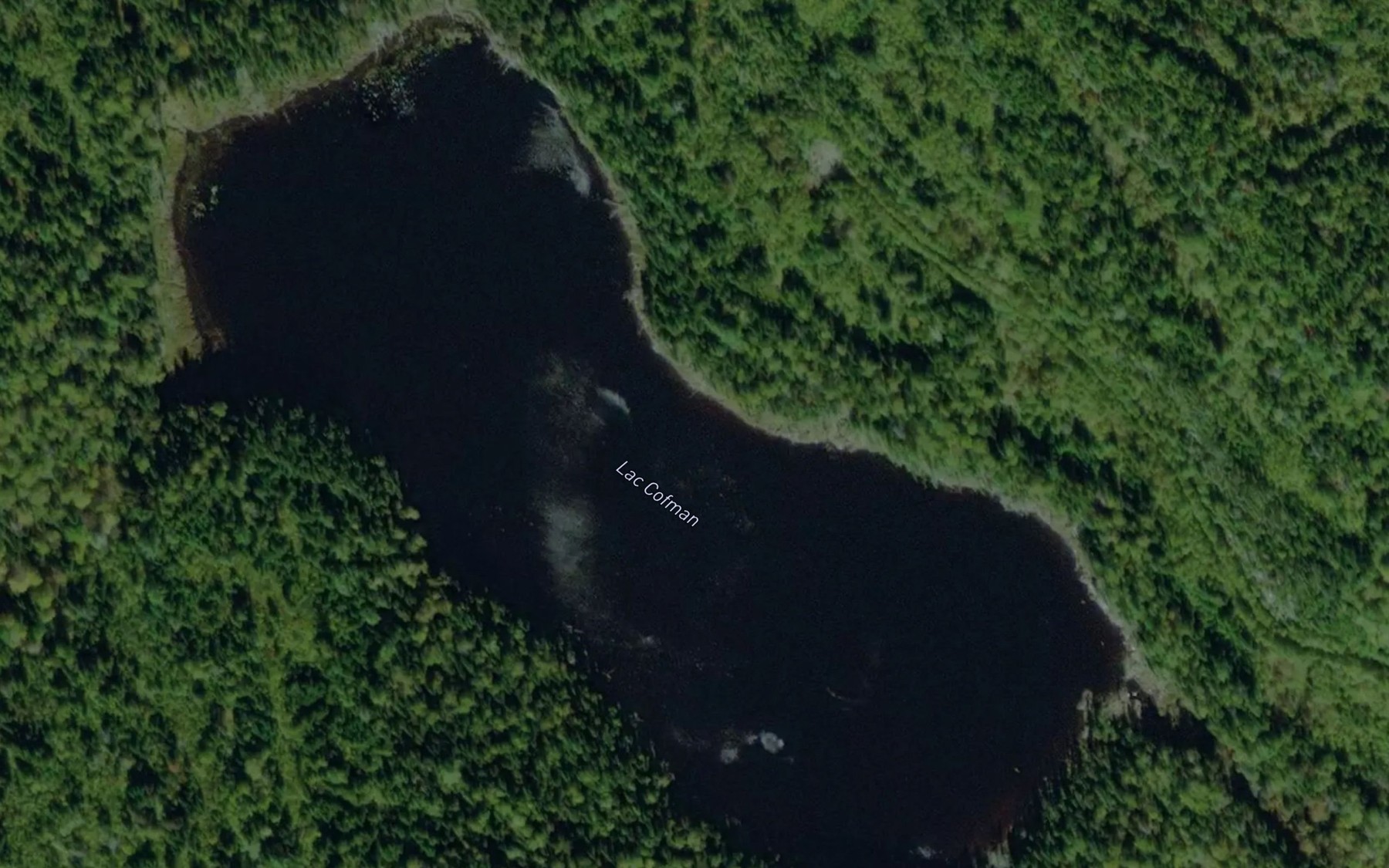 Satellite map of the Lac Cofman