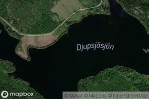 Djupsjoesjoen