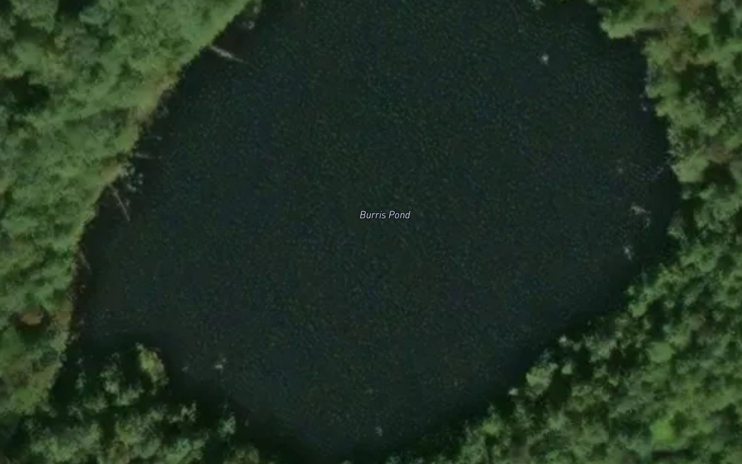 Burris Pond
