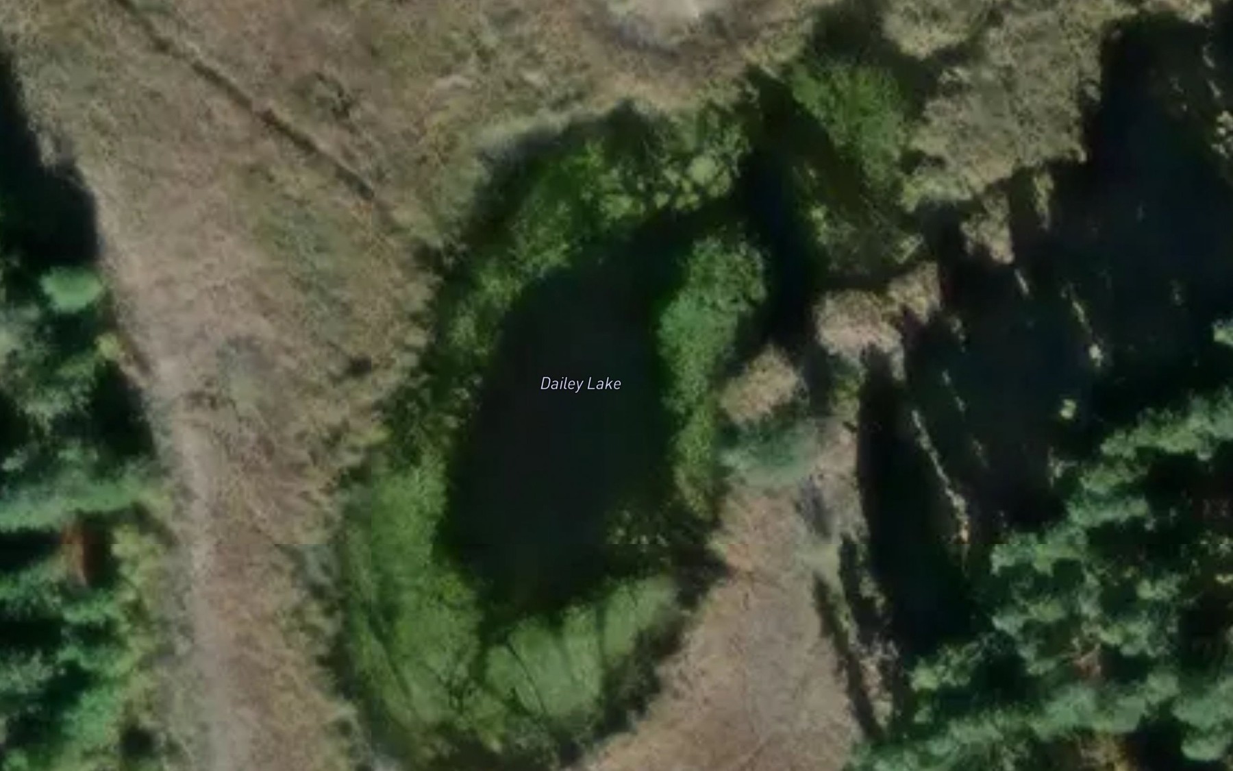 Satellite map of the Dailey Lake