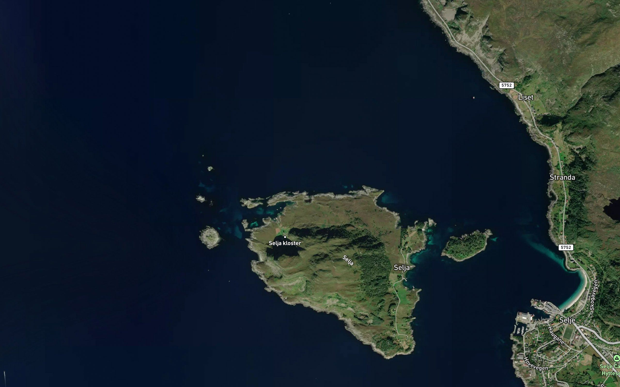 Helmavika