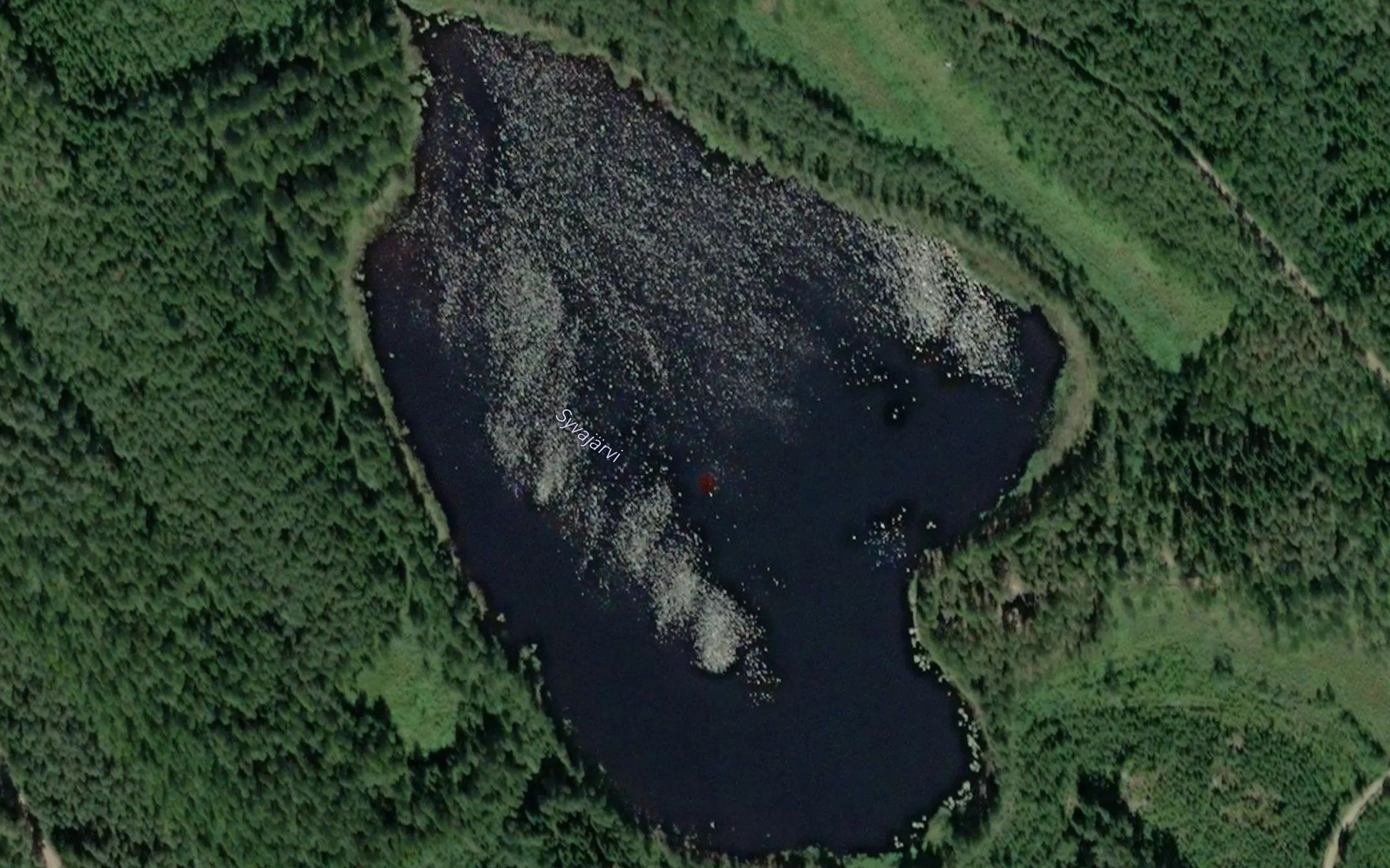 Syvajarvi