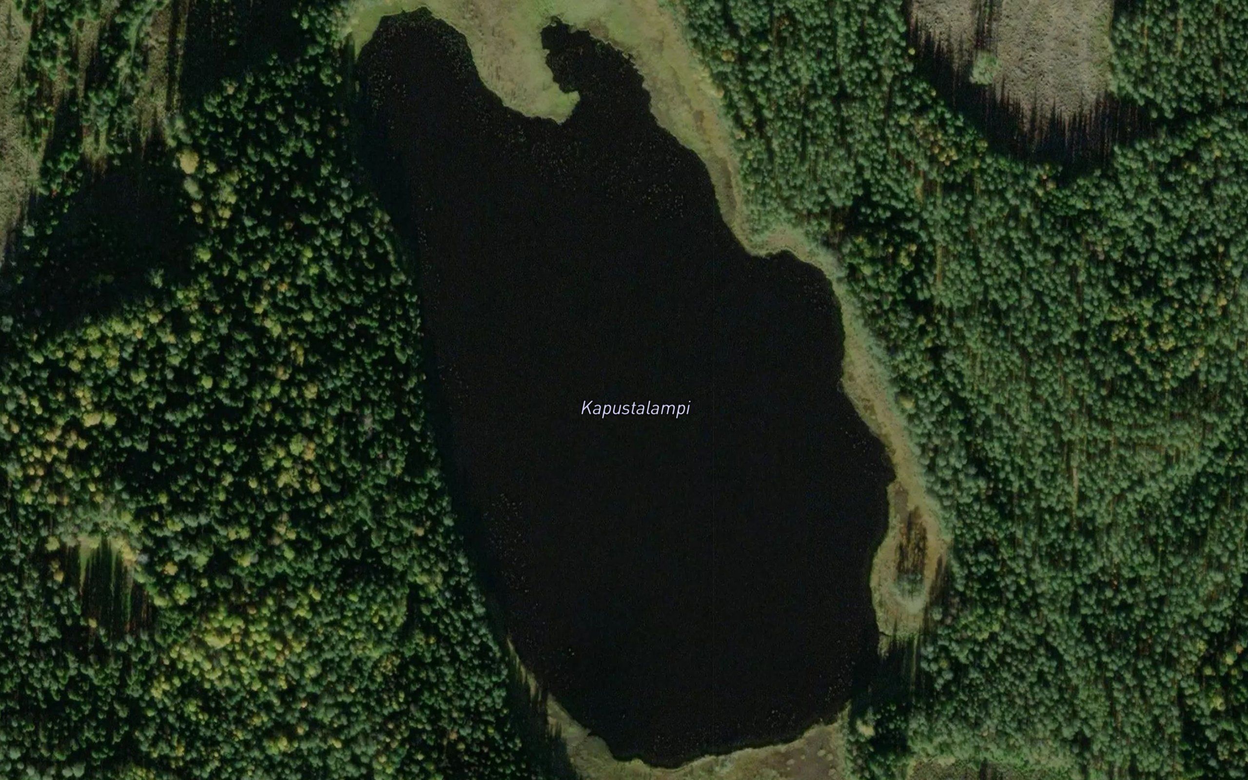 Kapustalampi