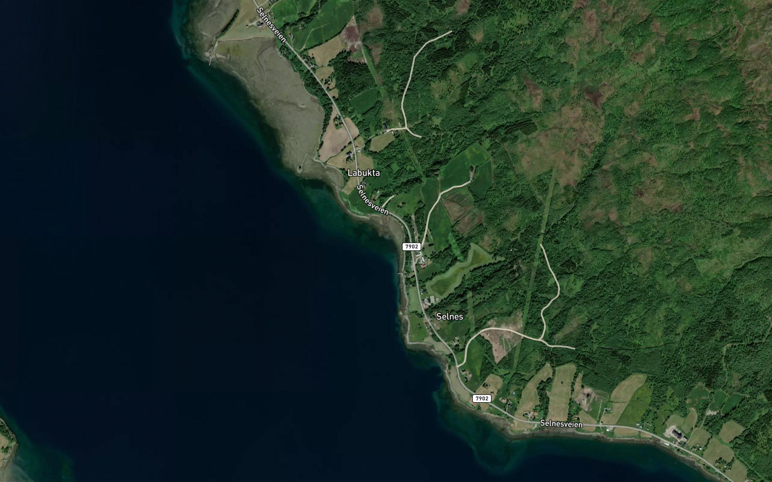 Bakkebukta