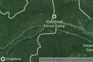 Steelhead Creek