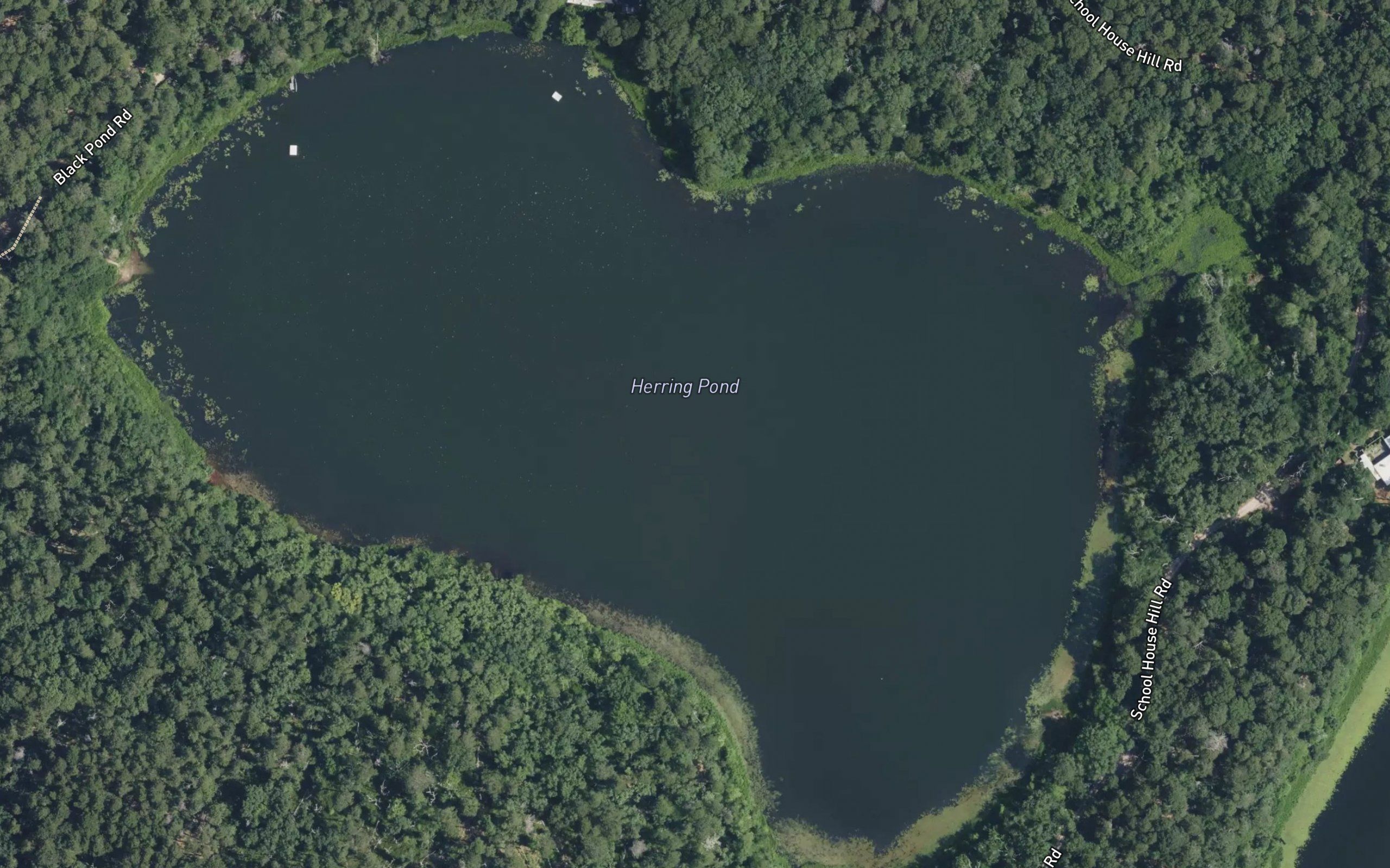 Herring Pond