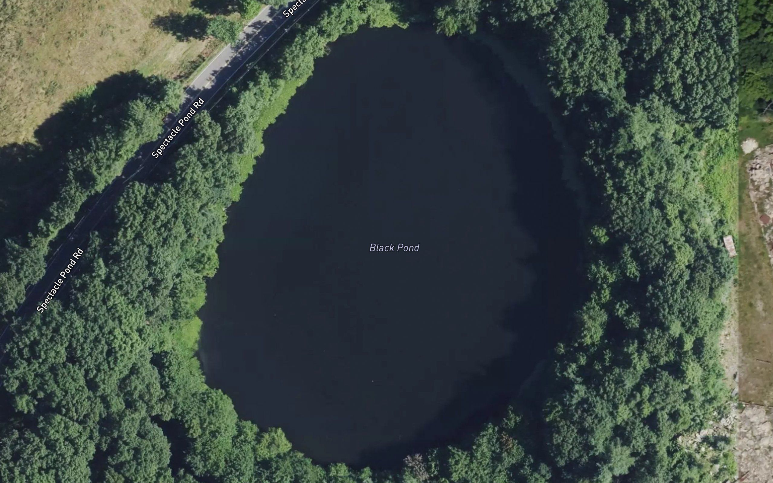 Black Pond