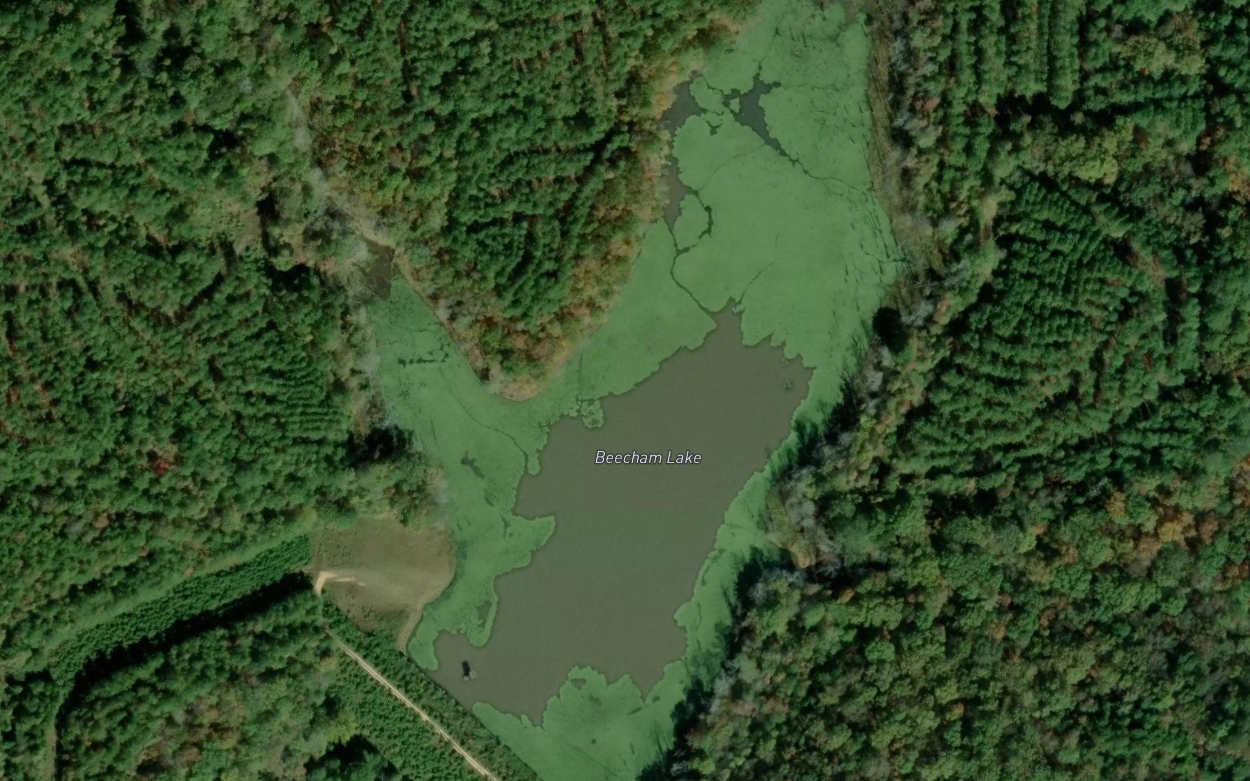 Beecham Lake
