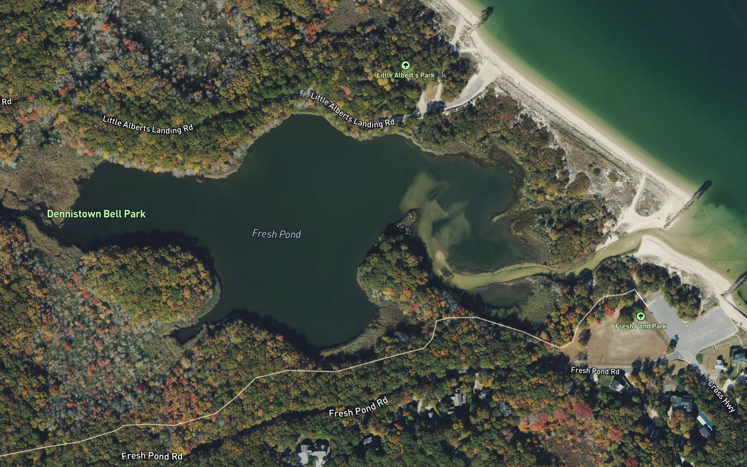 Fresh Pond