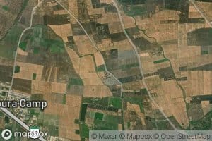 Distributary Number Ninety One