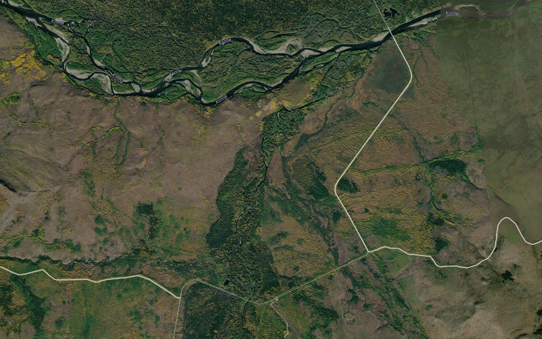 Satellite map of the Toptycha