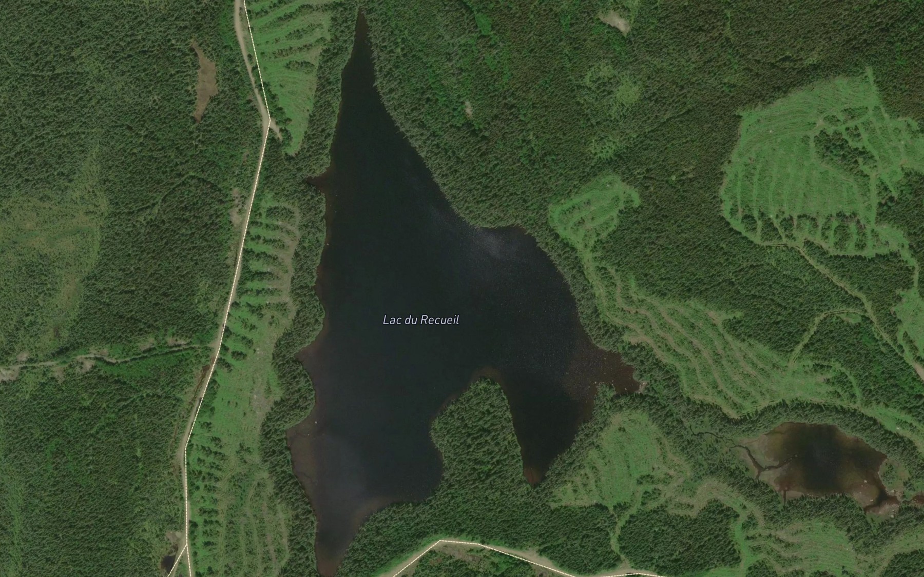 Satellite map of the Lac du Recueil