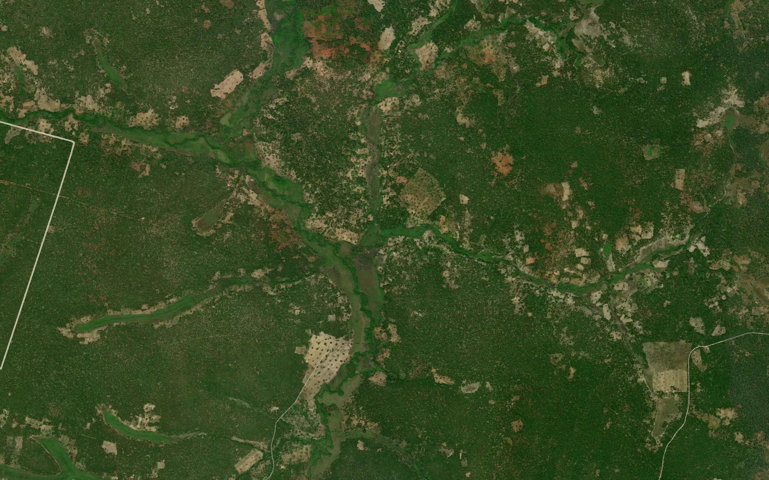 Kasangwa