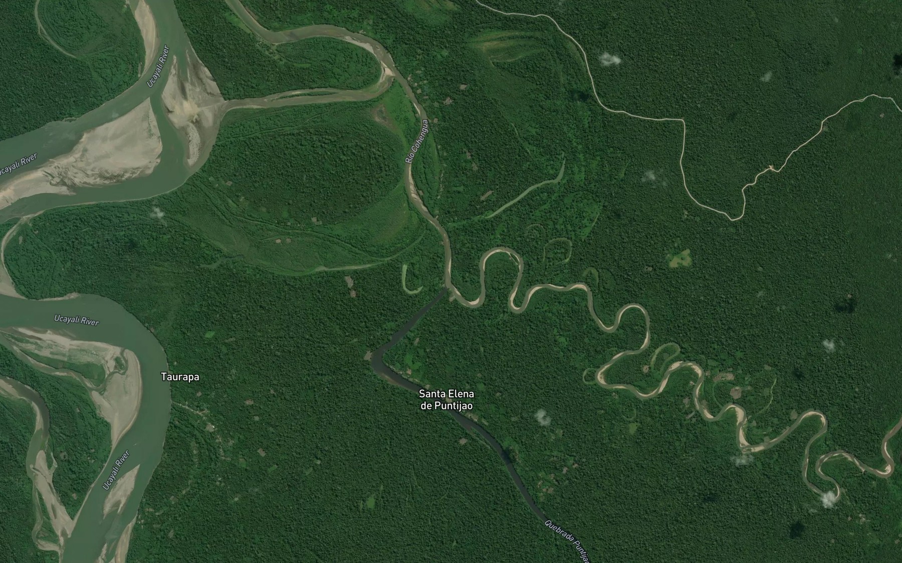 Satellite map of the Rio Puntijao
