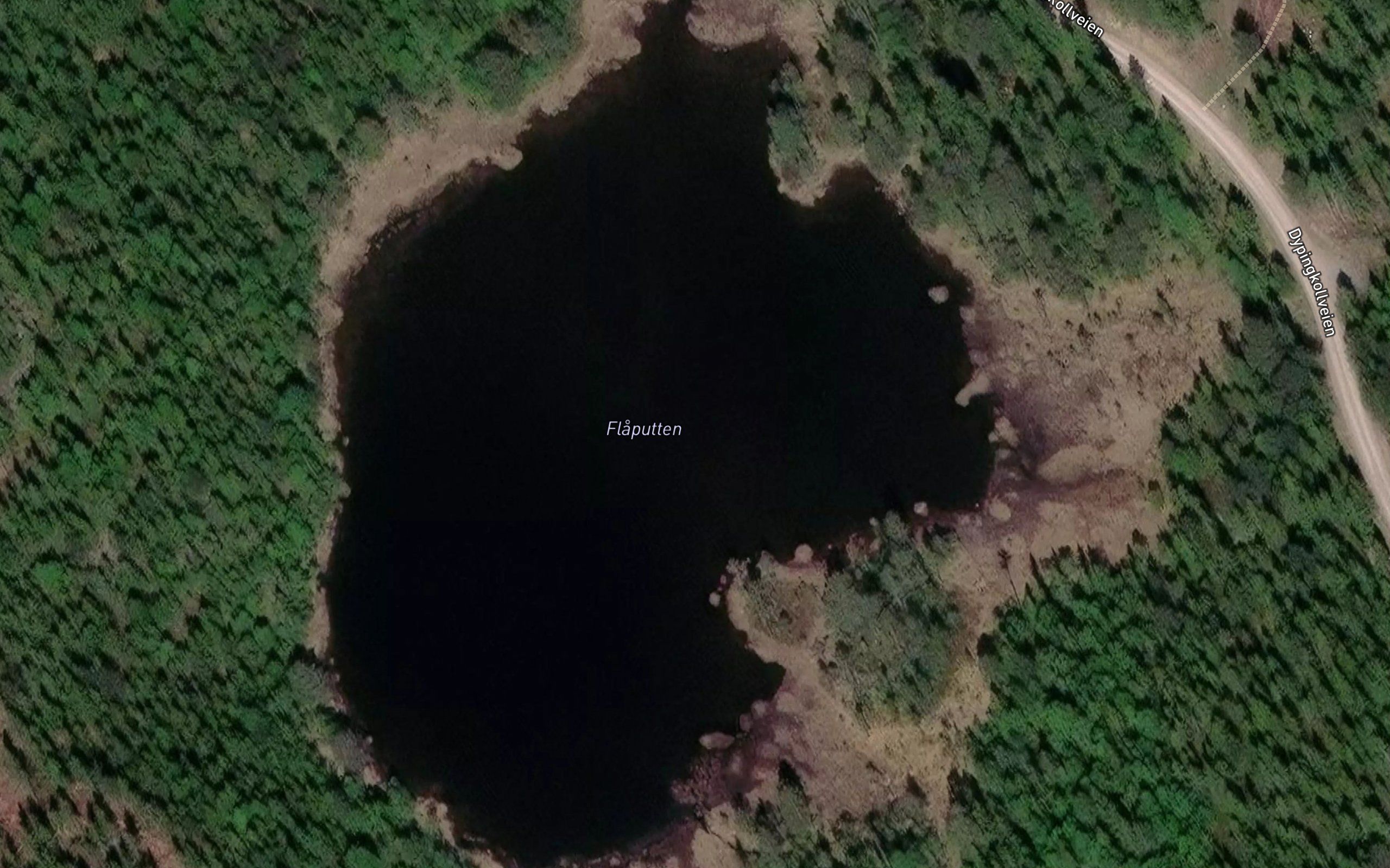 Flaputten