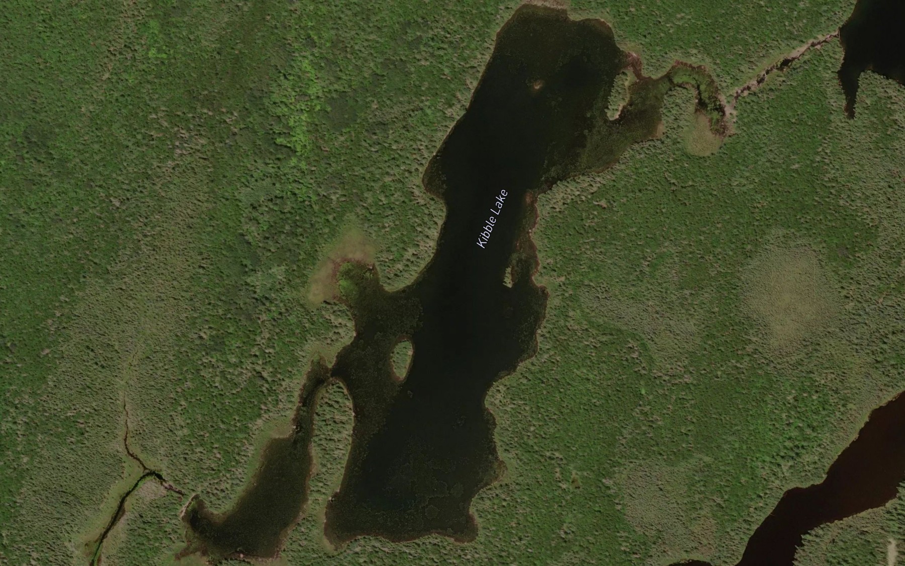 Satellite map of the Kibble Lake