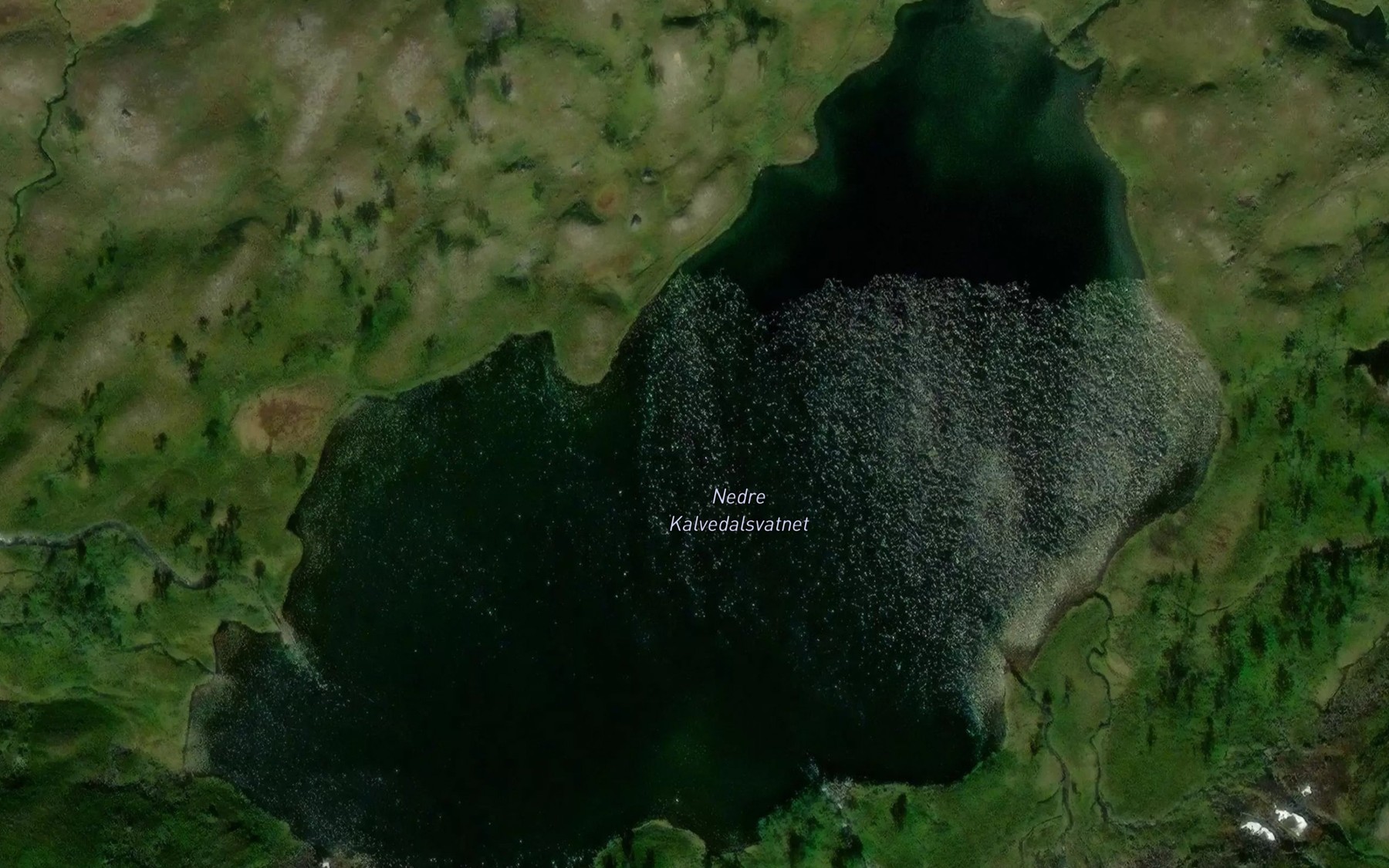 Satellite map of the Nedre Kalvedalsvatnet