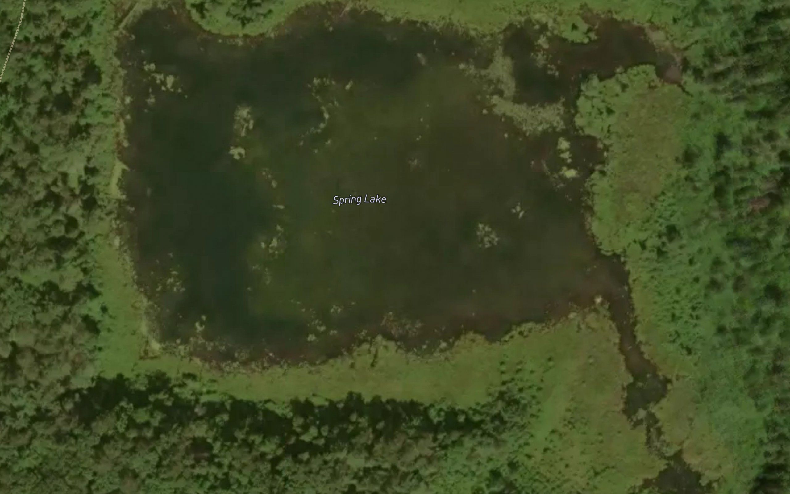 Spring Lake