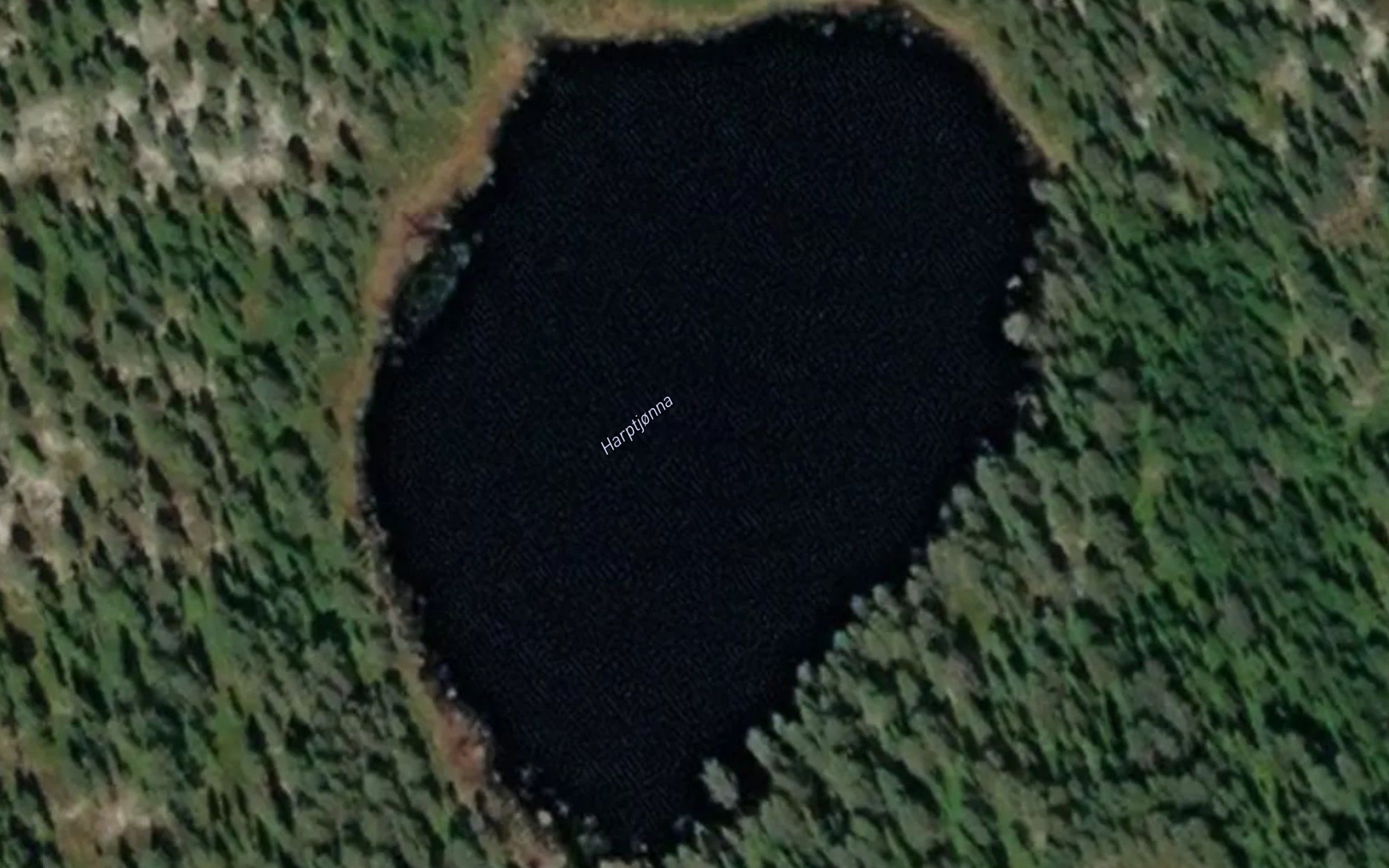 Harptjorna