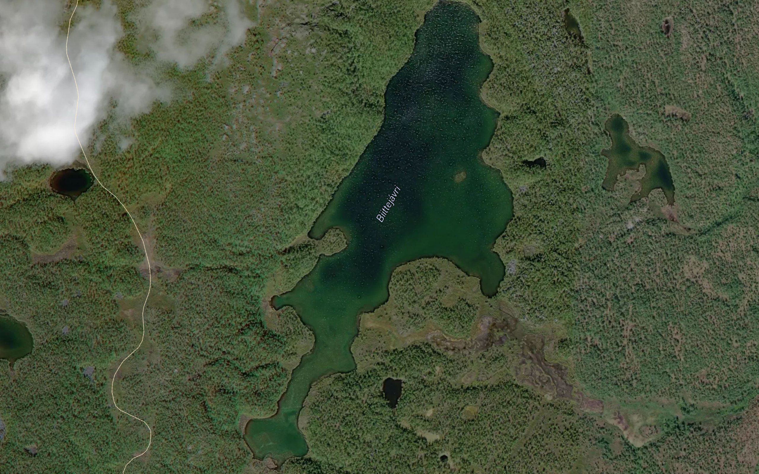 Biitejavri