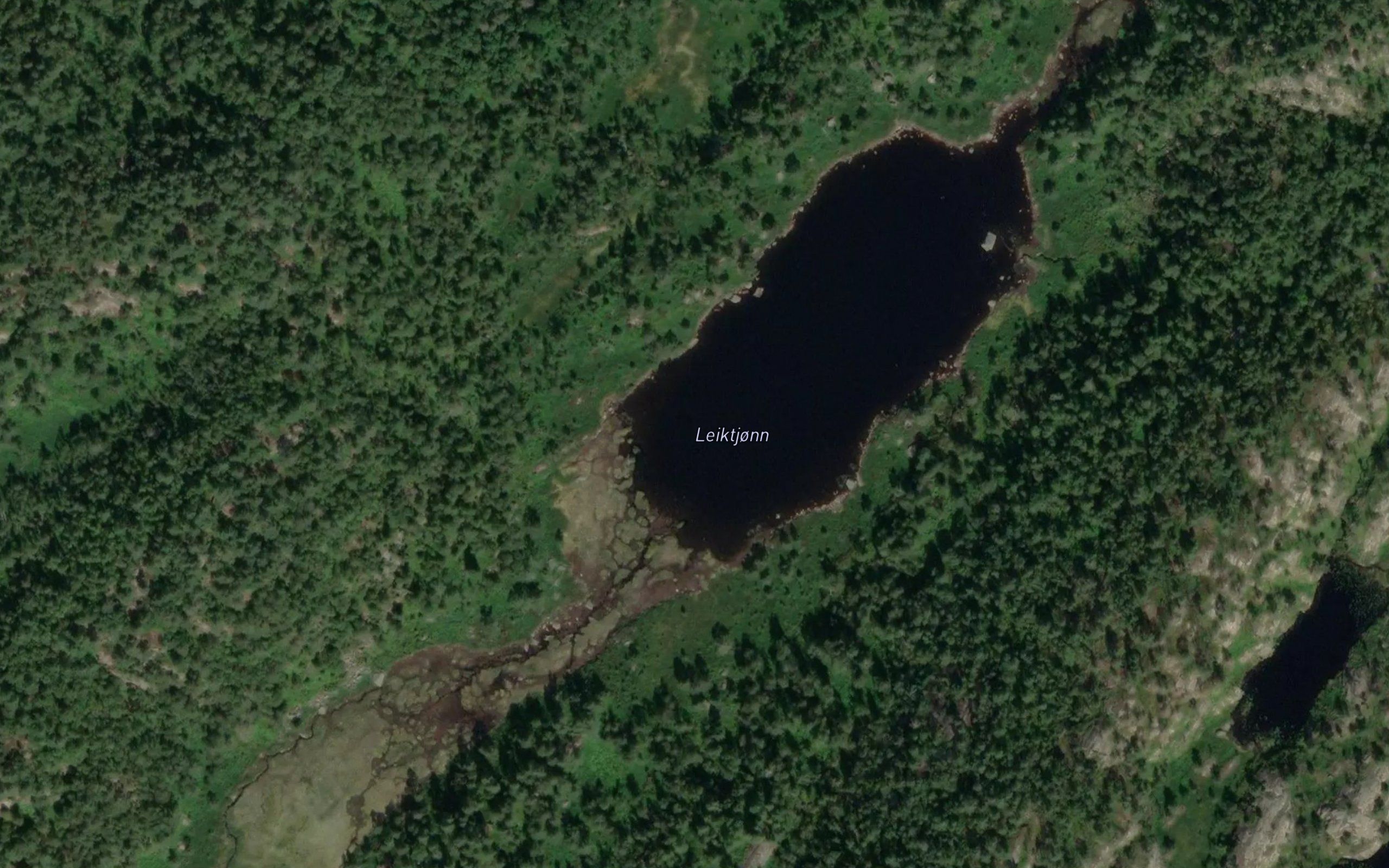 Leiktjonn