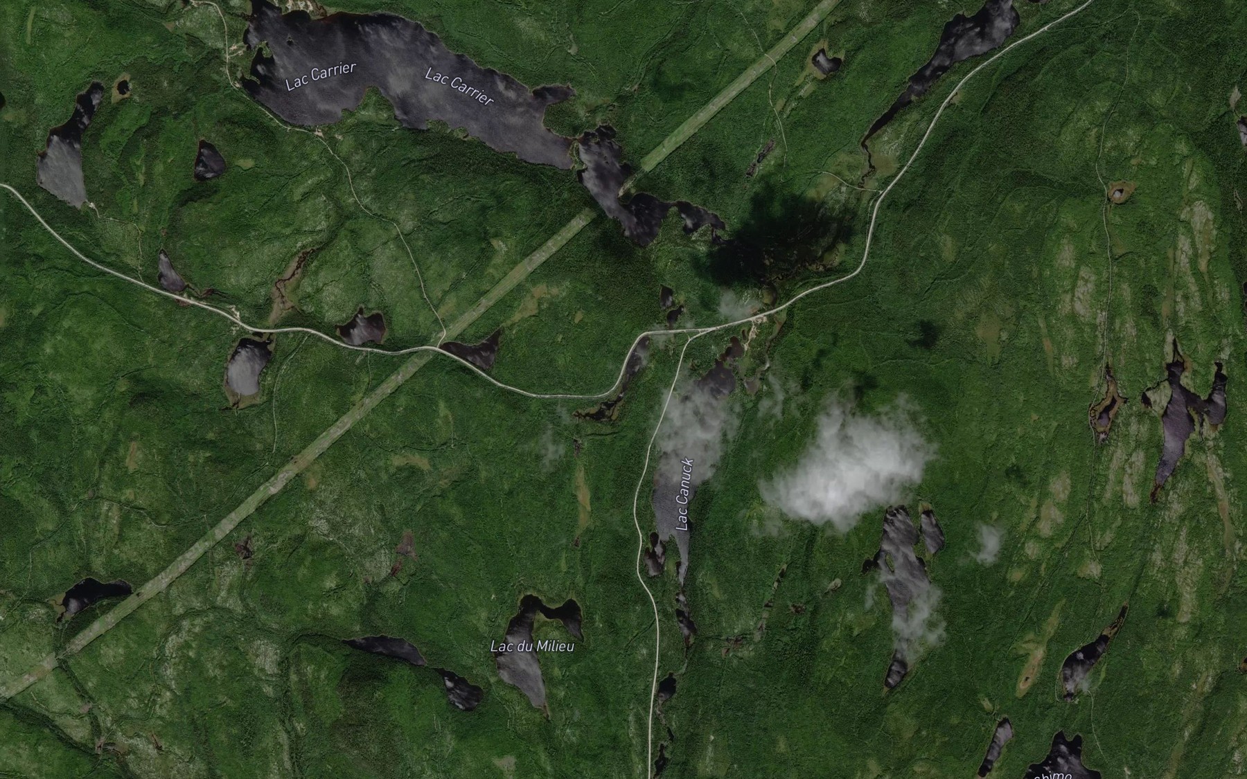 Satellite map of the Lac de la Nepe