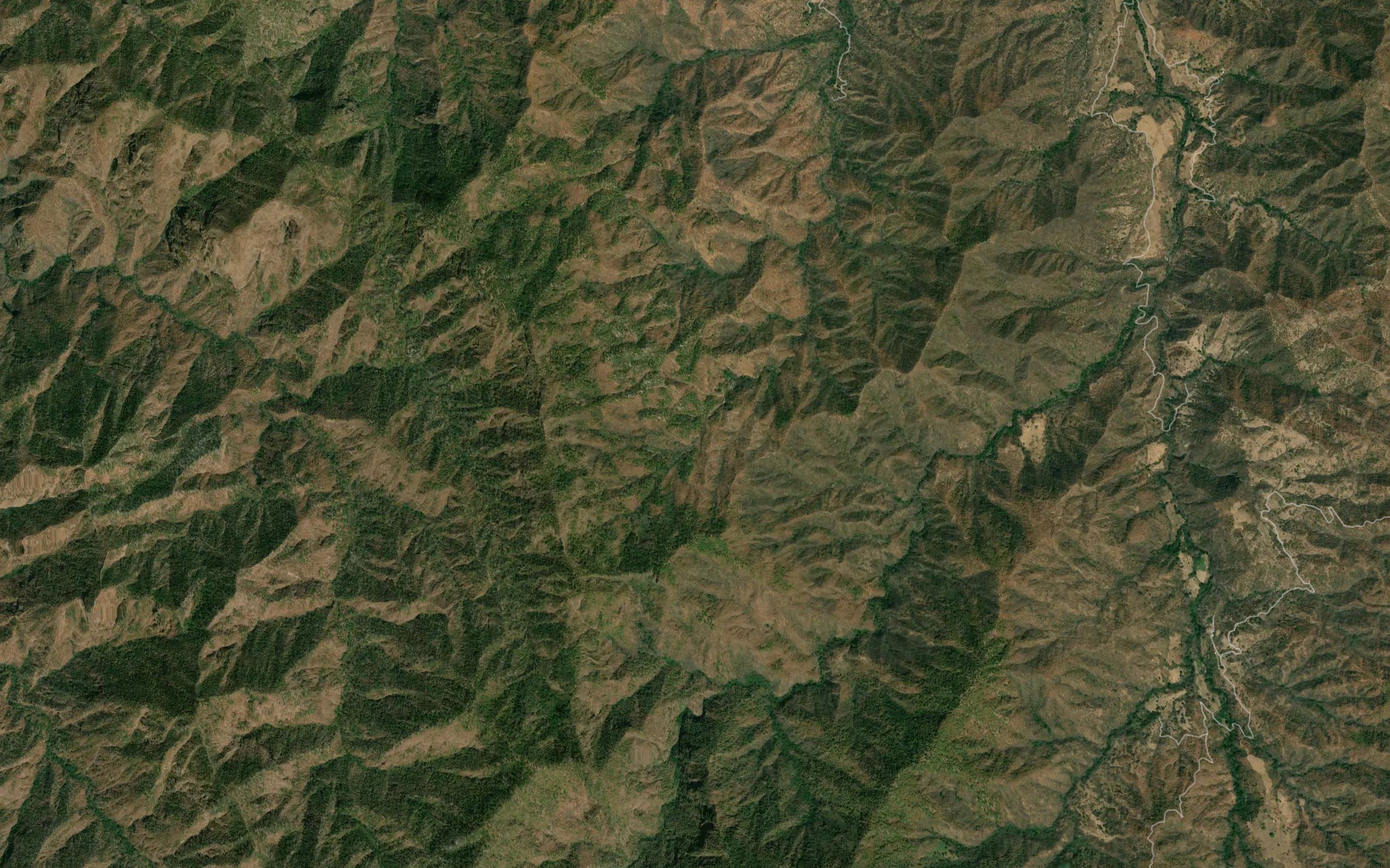Barranca El Pino