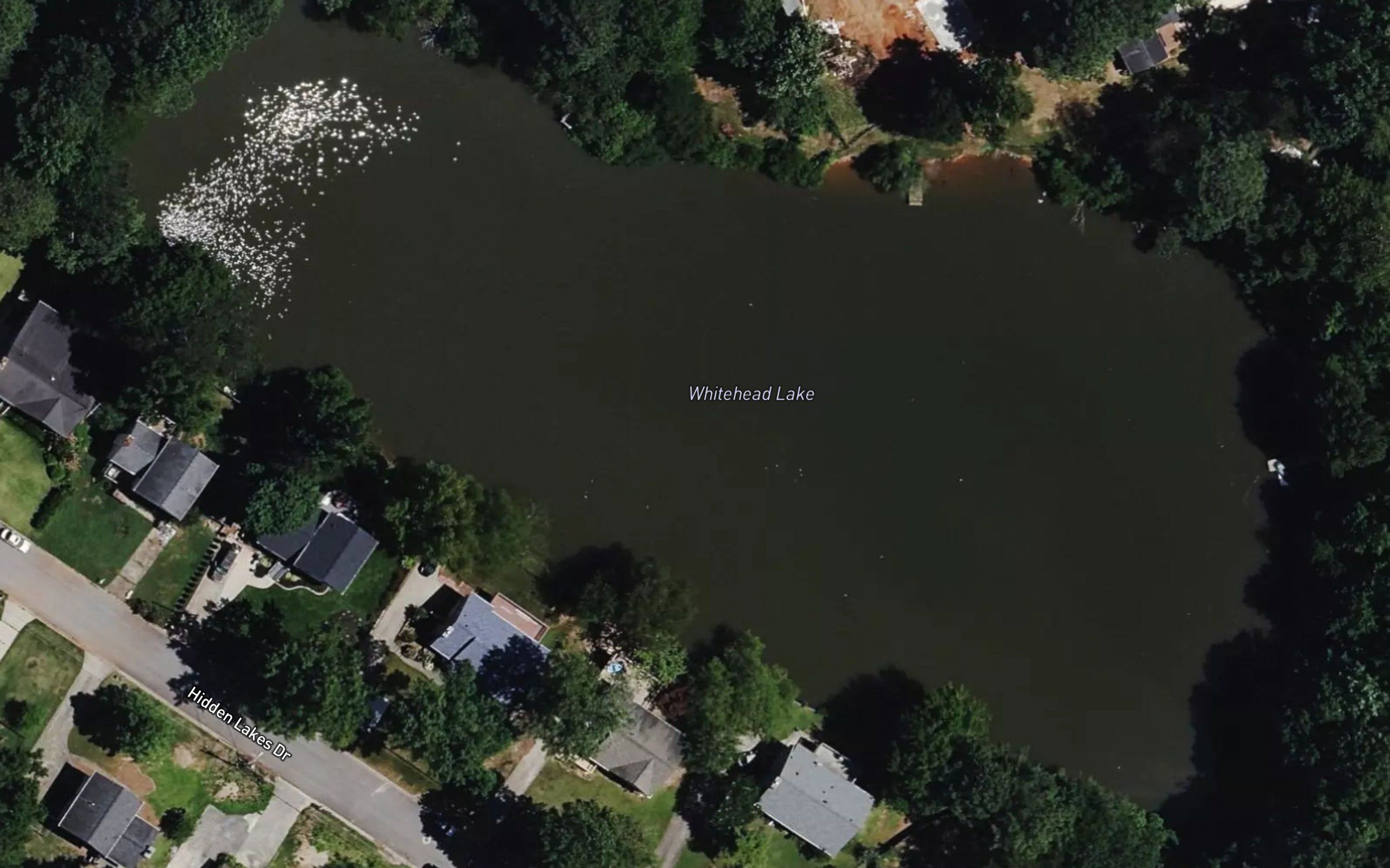 Whitehead Lake