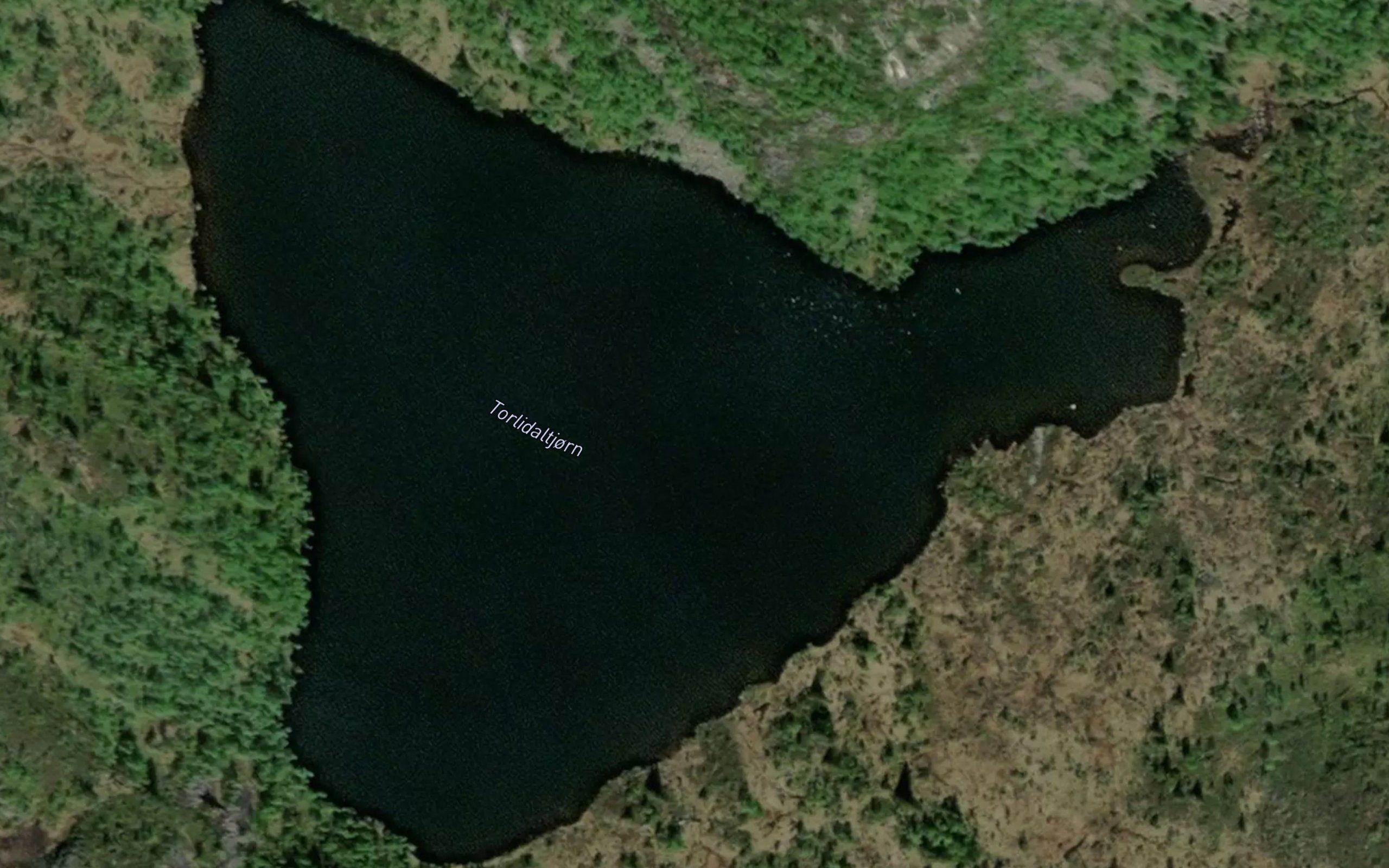 Torlidalstjonn