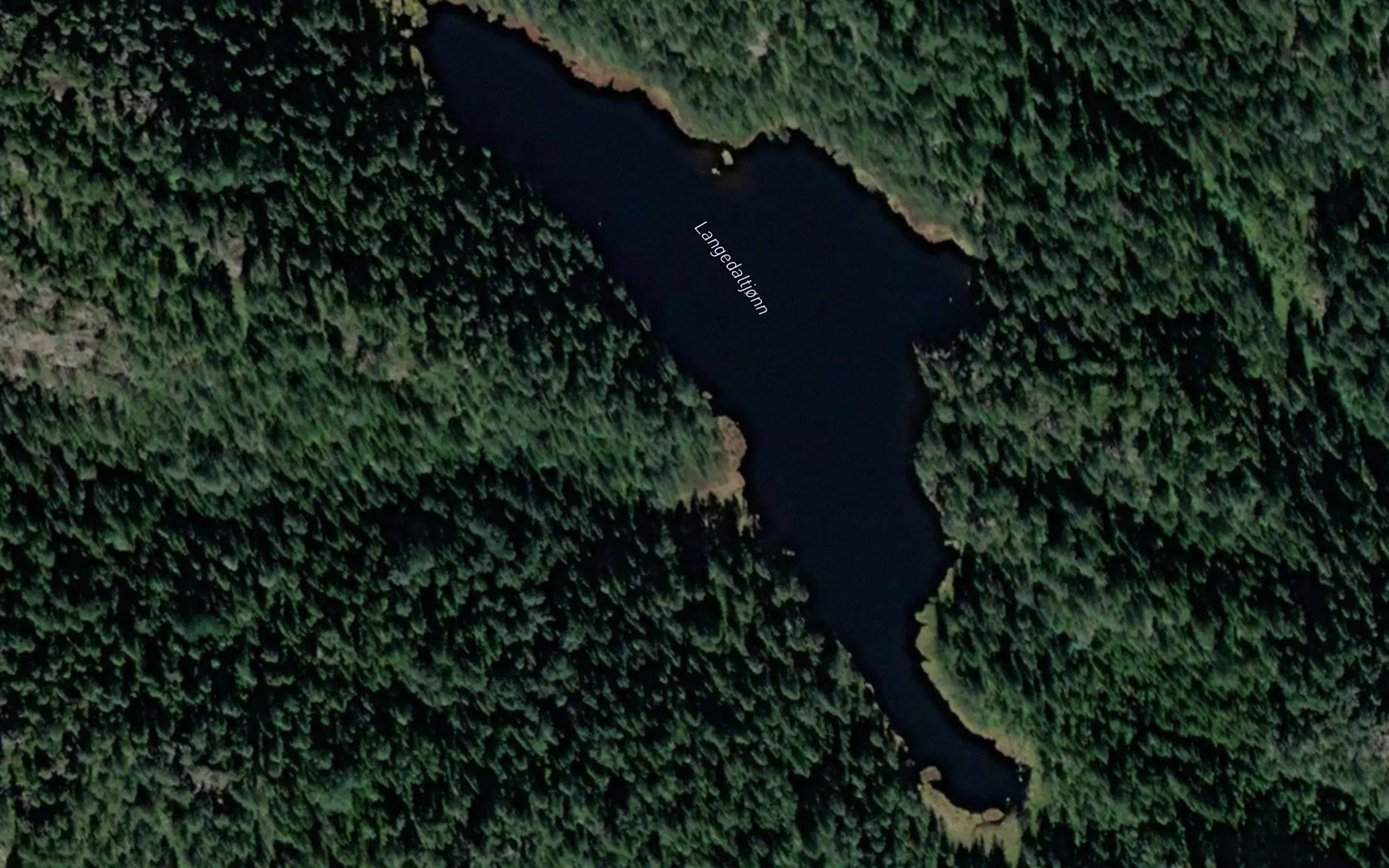 Langedaltjonn