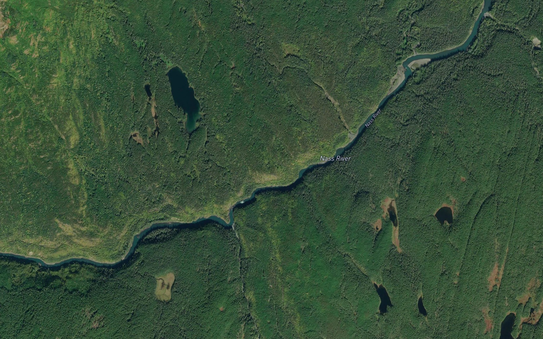Satellite map of the Kwinageese River