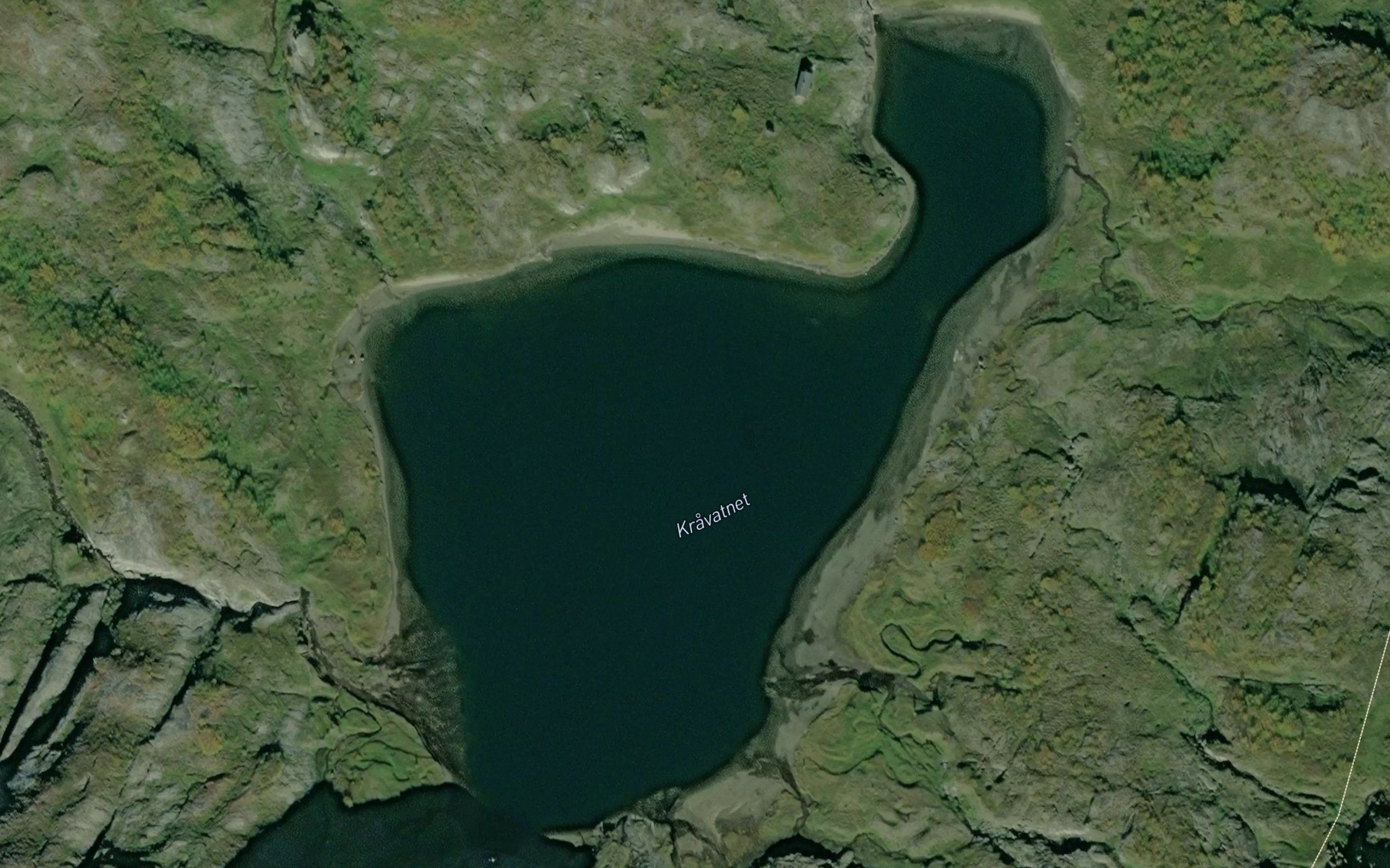 Kravatnet