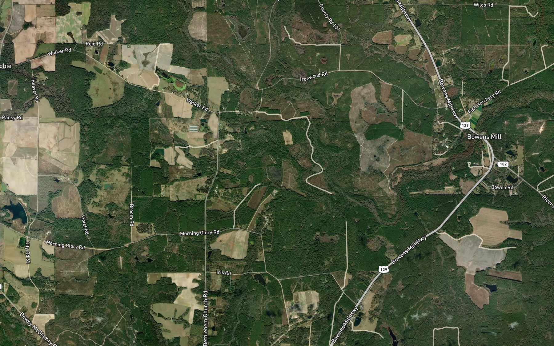 Satellite map of the Ware Pond