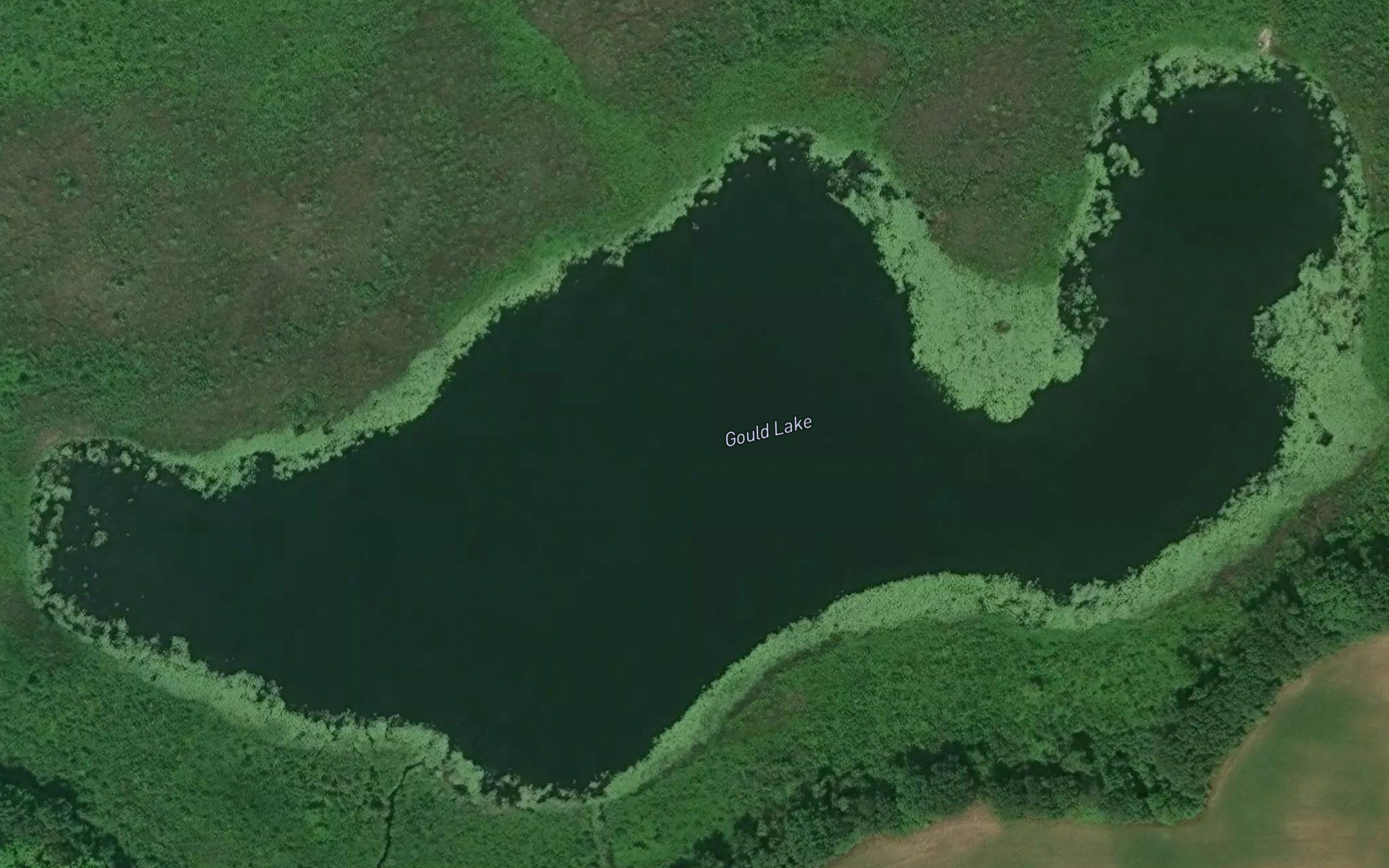 Gould Lake