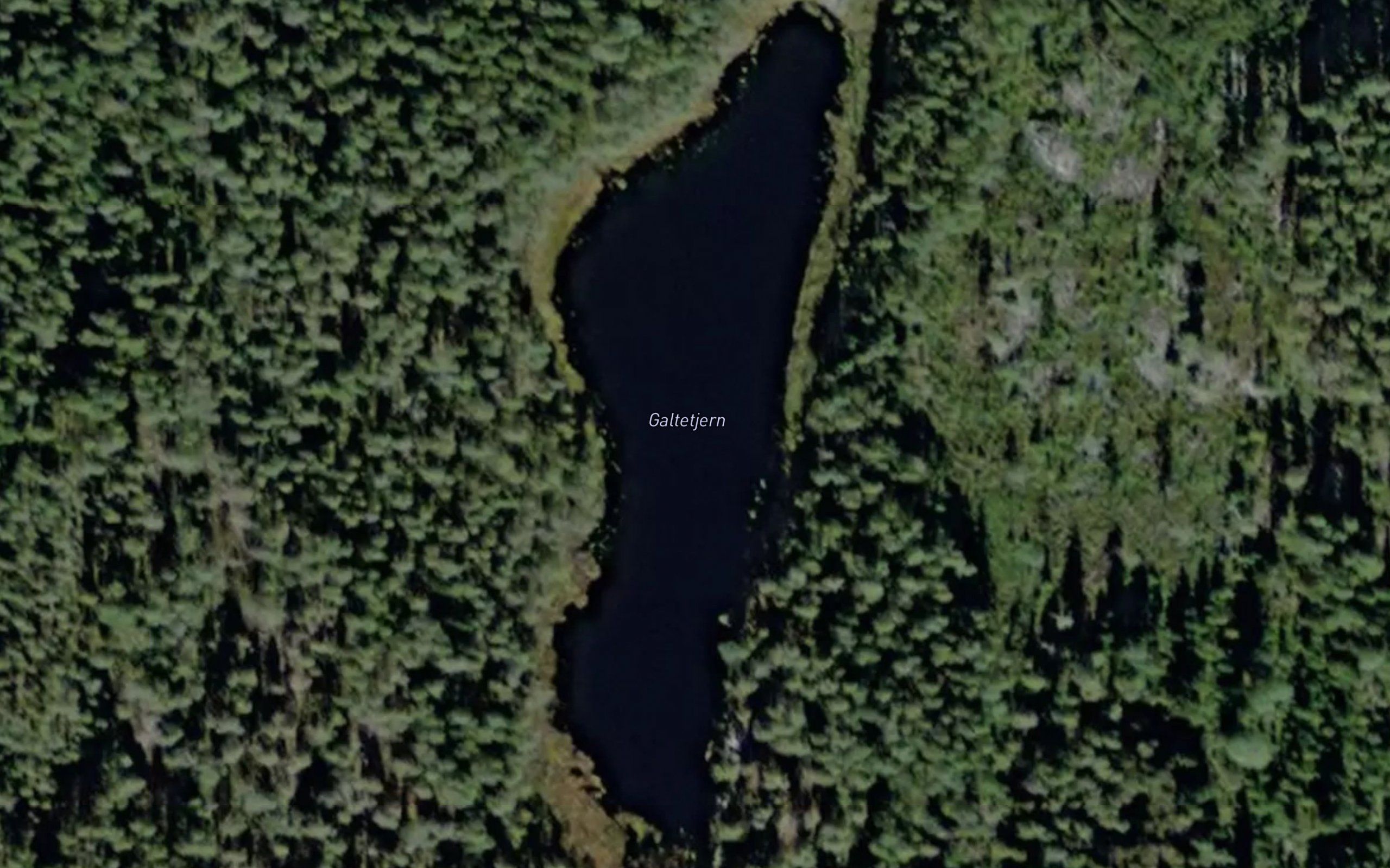 Galtetjern