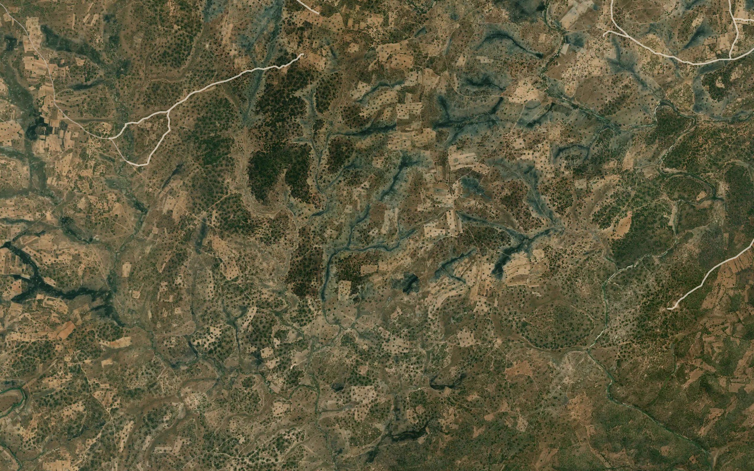 Siechelezya