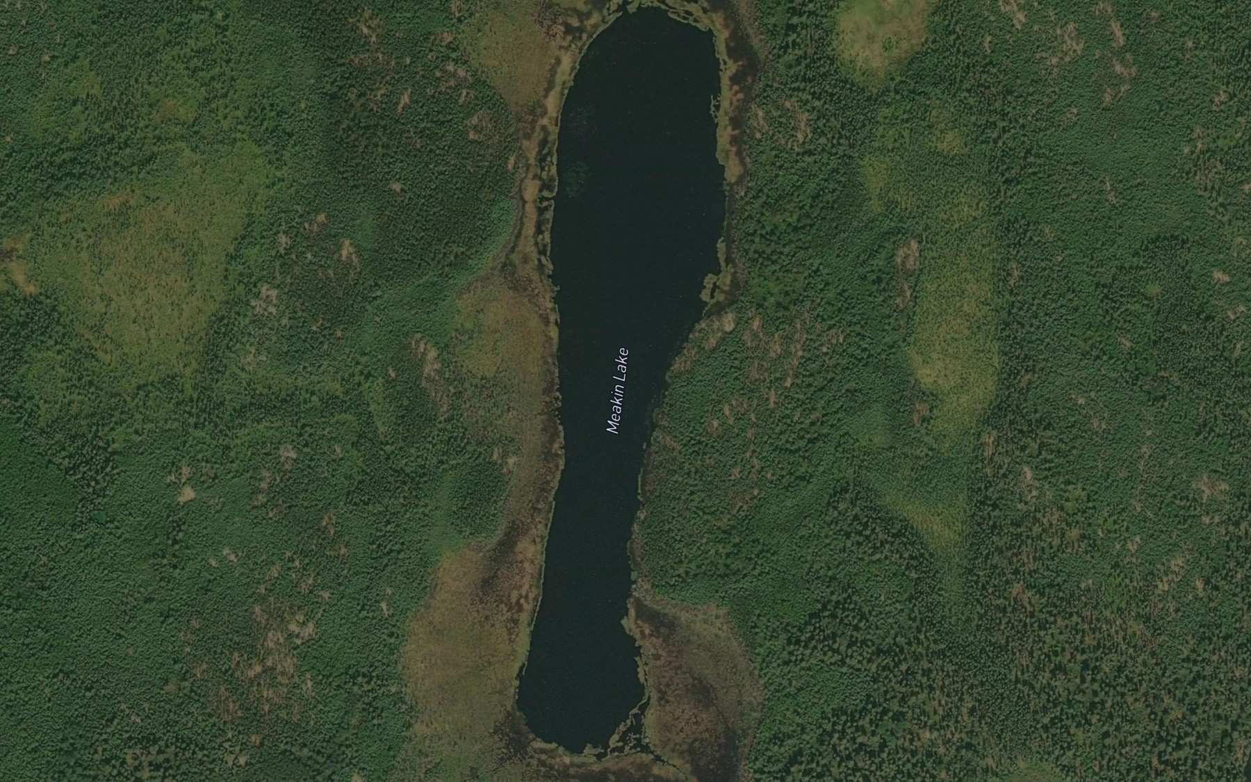 Satellite map of the Meakin Lake