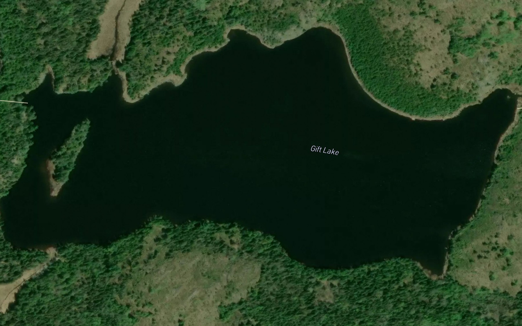 Satellite map of the Gift Lake