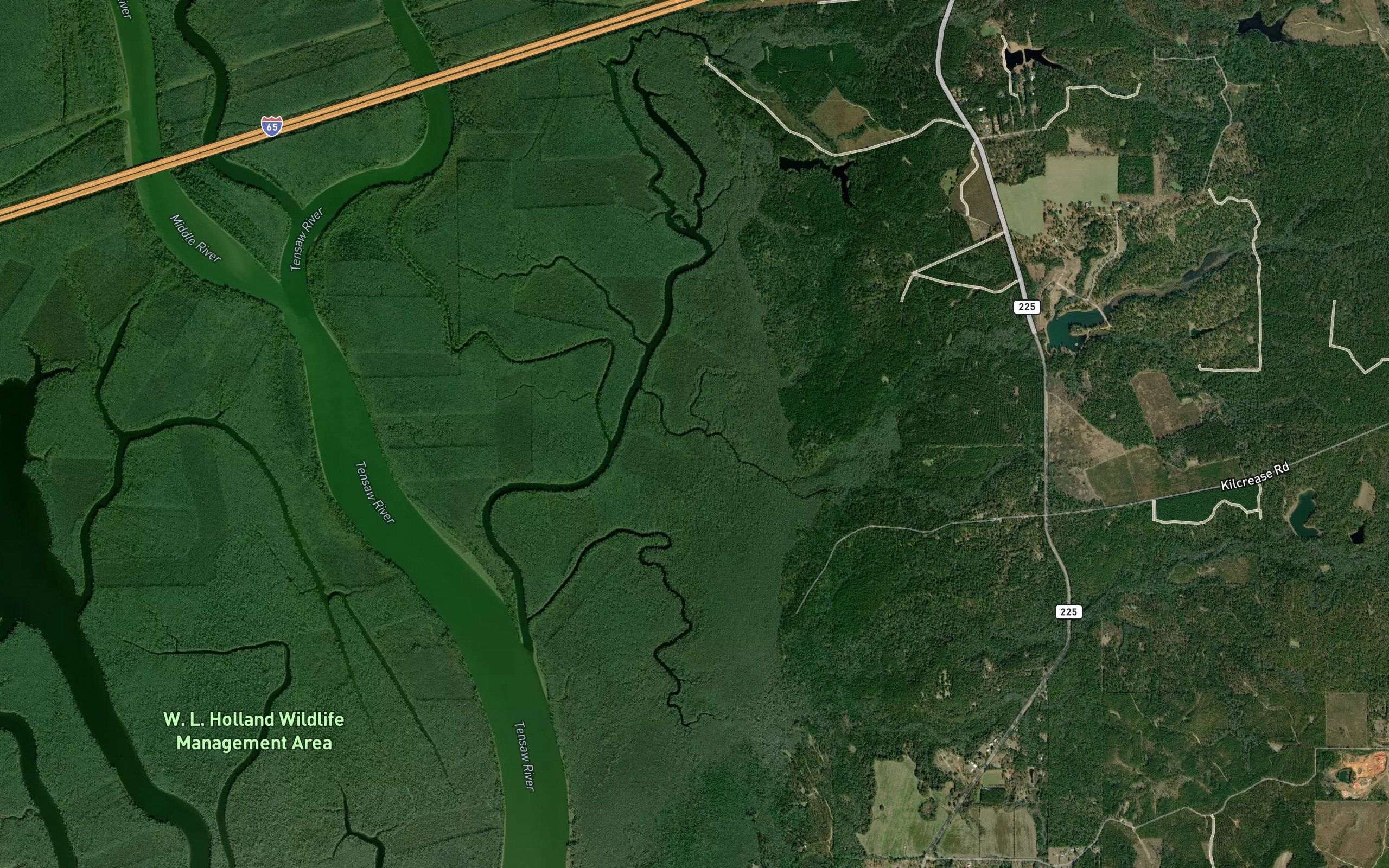 Dennis Creek