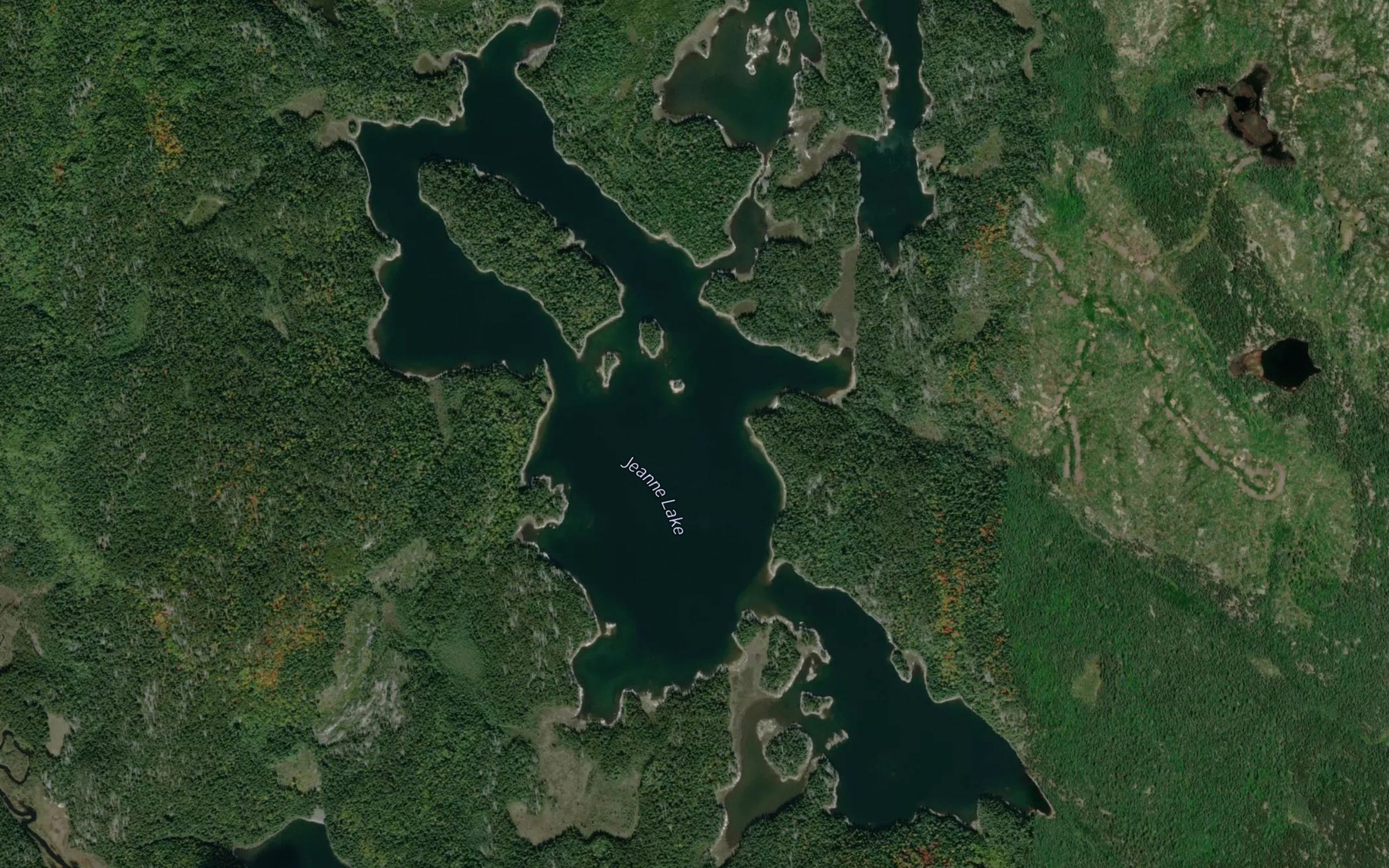 Satellite map of the Jeanne Lake
