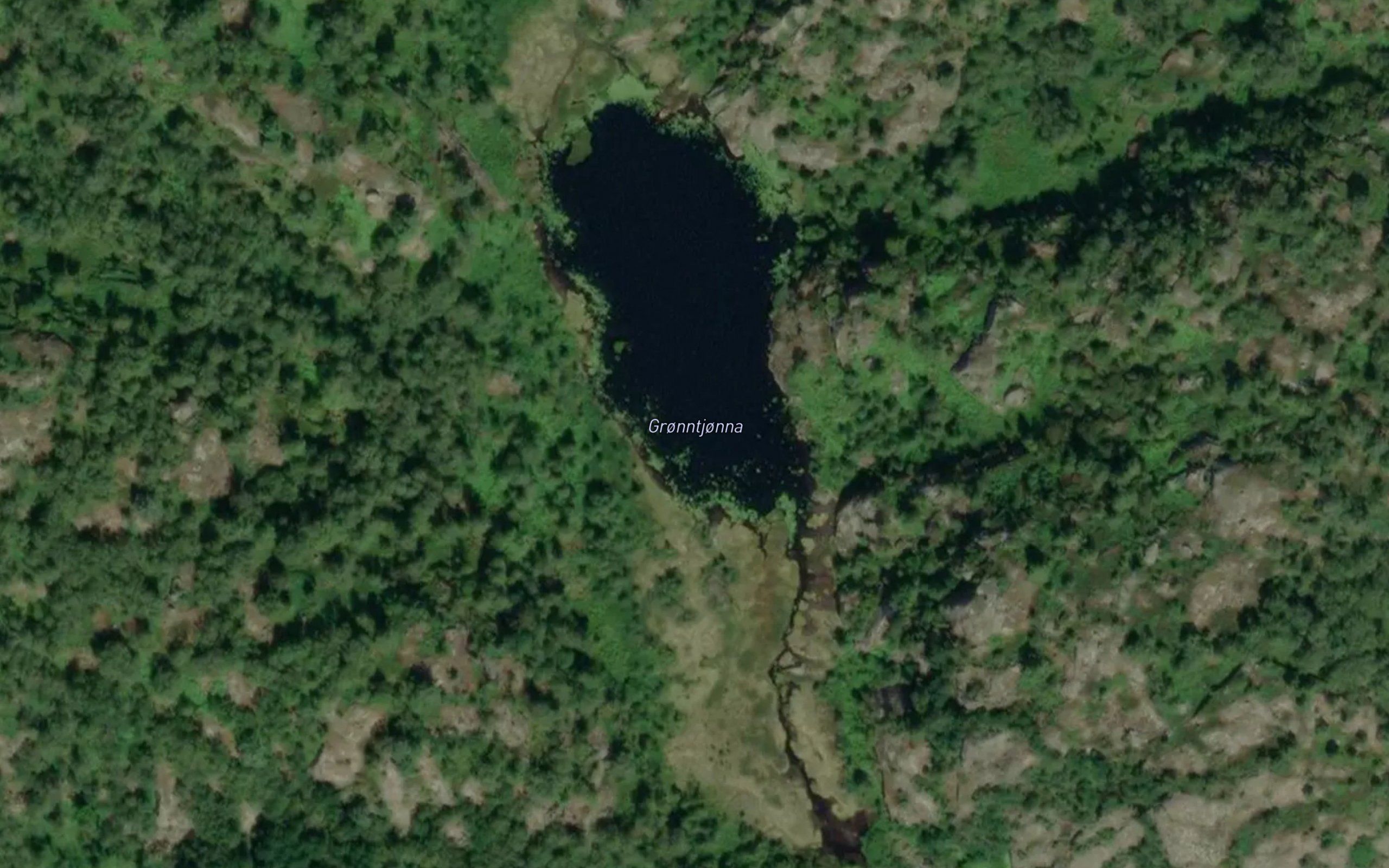 Gronntjonna