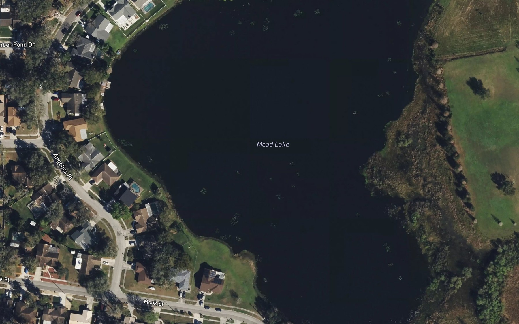 Satellite map of the Mead Lake