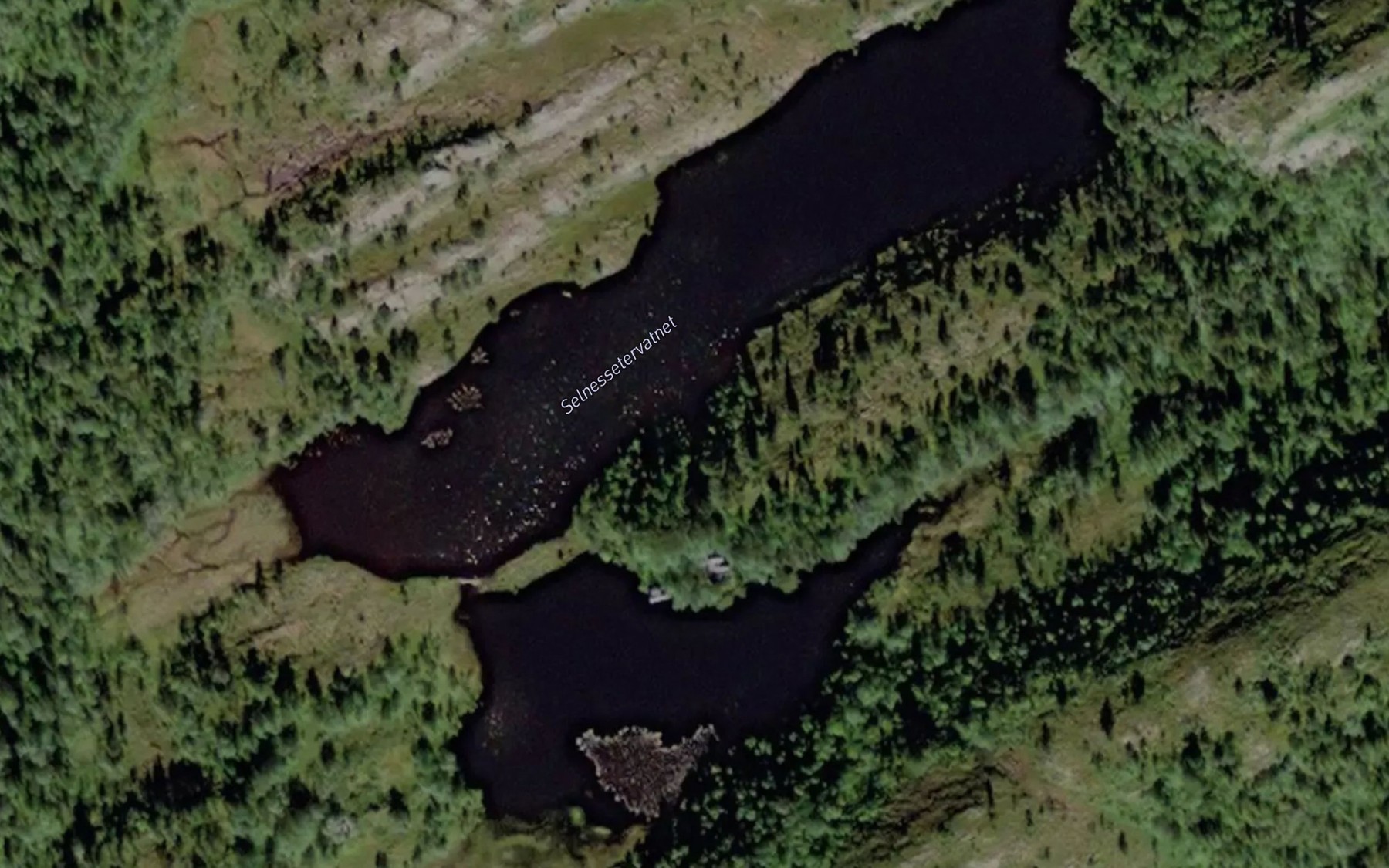 Satellite map of the Selnessaetervatnet