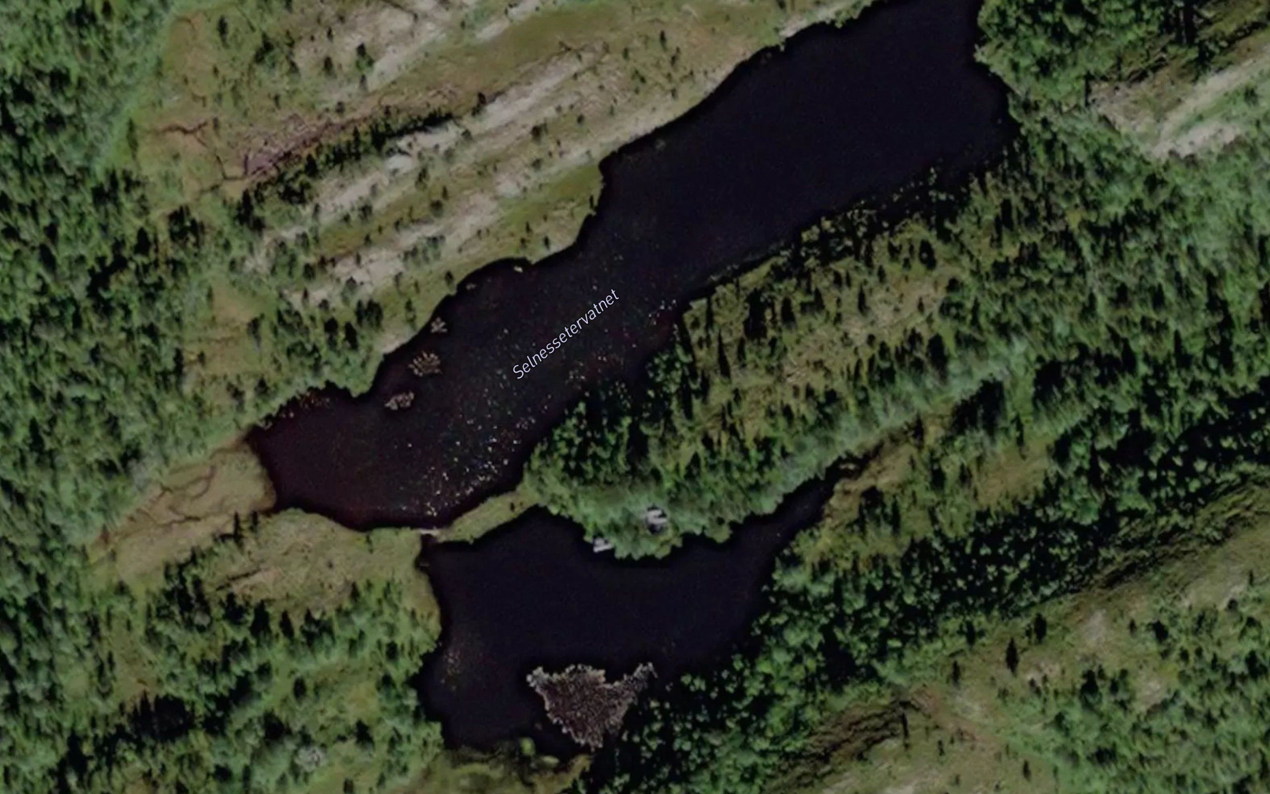 Selnessaetervatnet