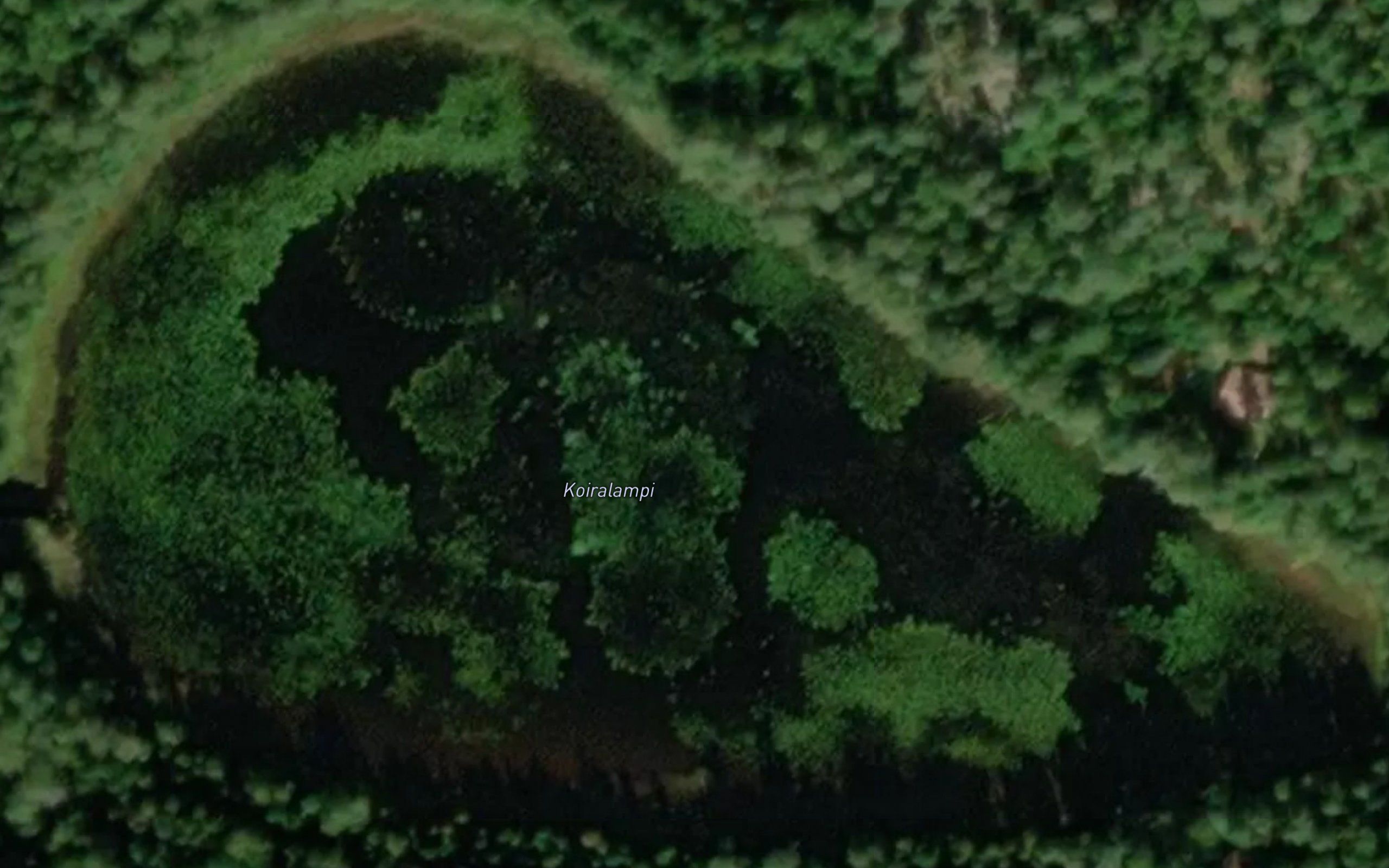 Koiralampi