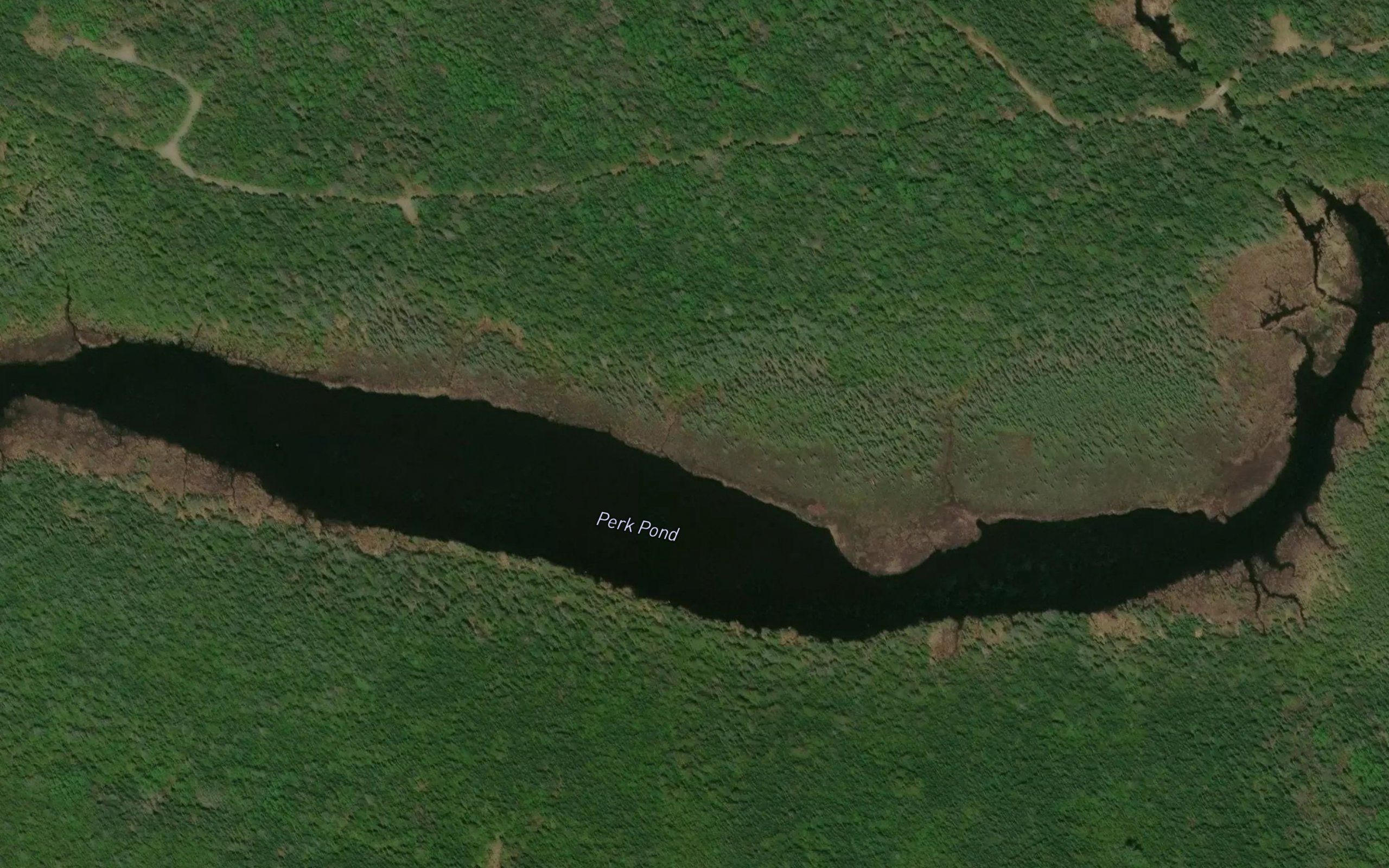 Perk Pond