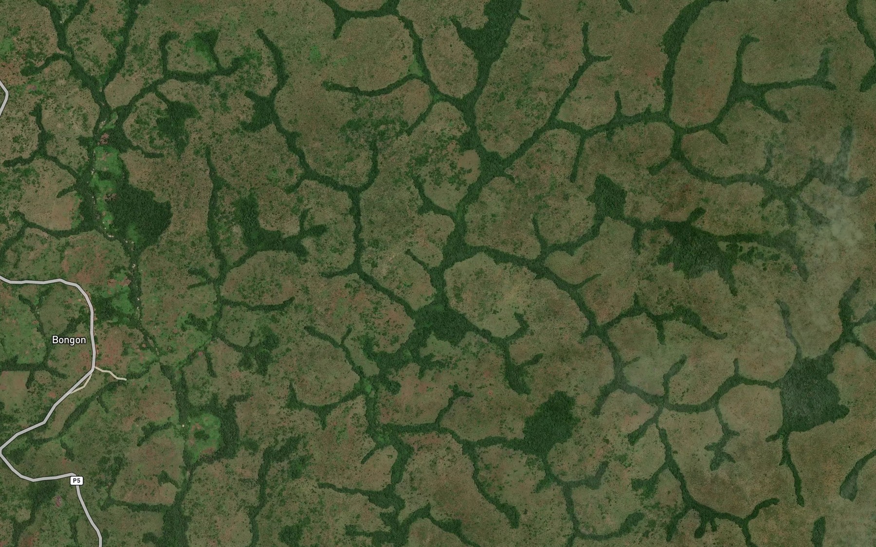Satellite map of the Kangoto