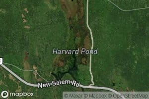 Harvard Pond