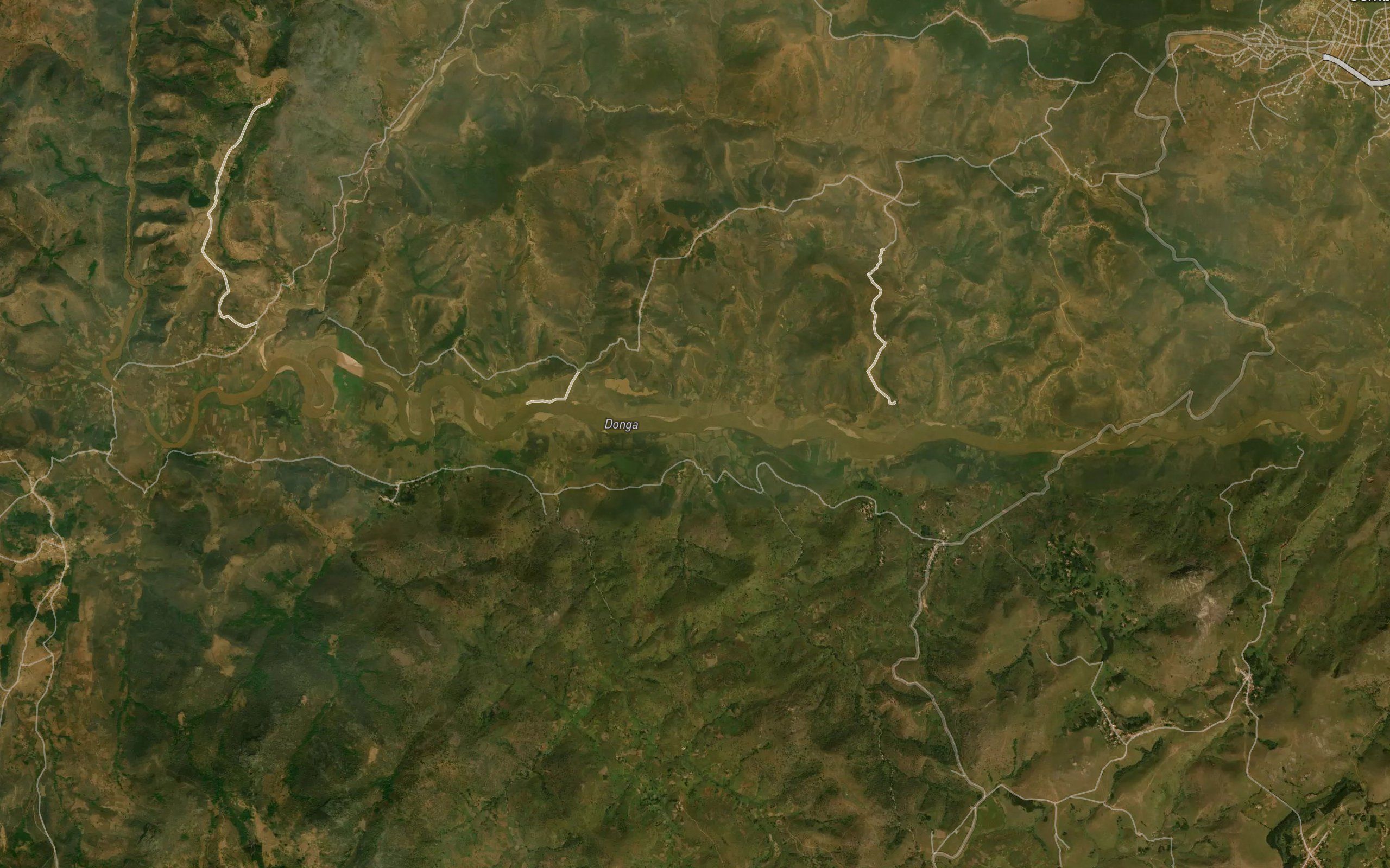 Halibula